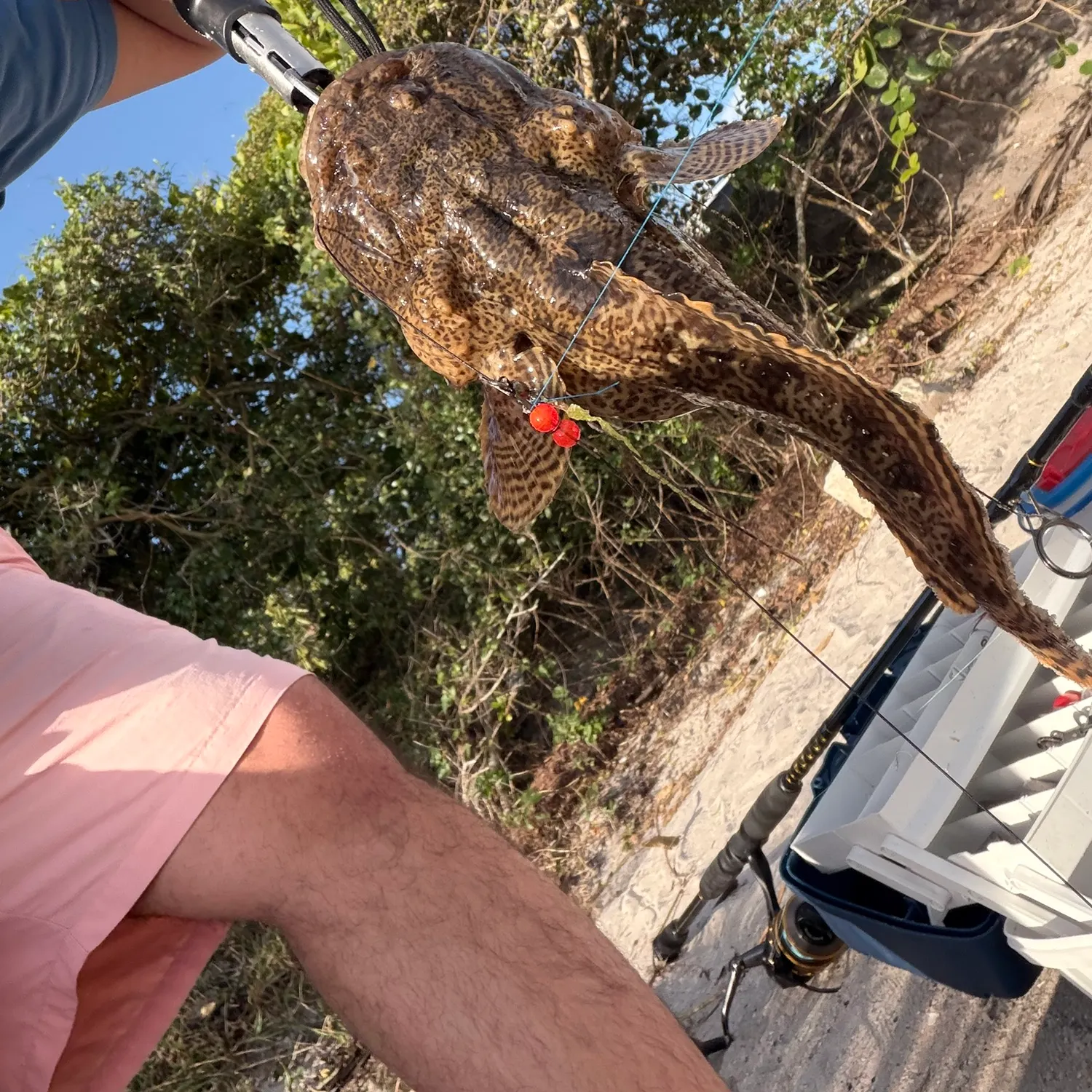 The most recent Spinyhead sculpin catches on Fishbrain