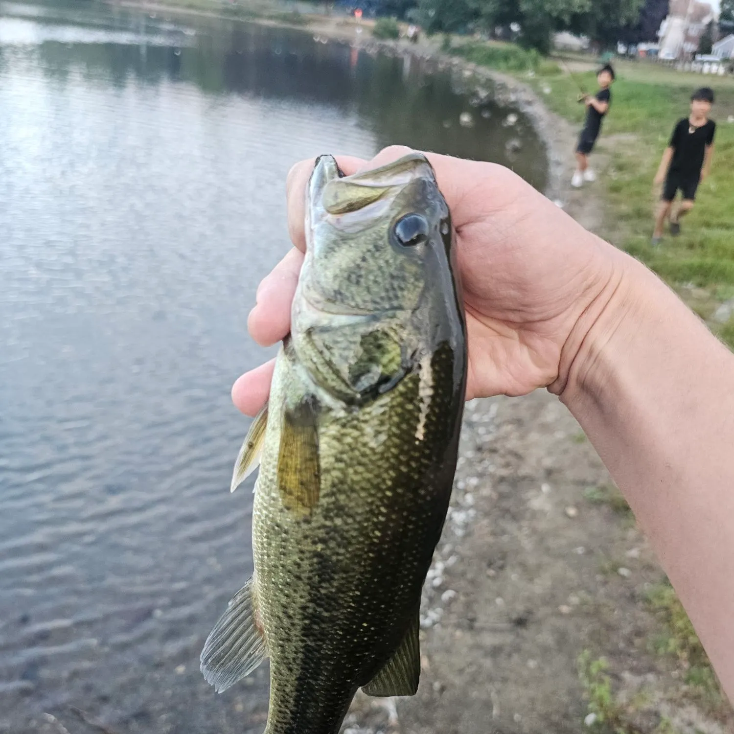 catch