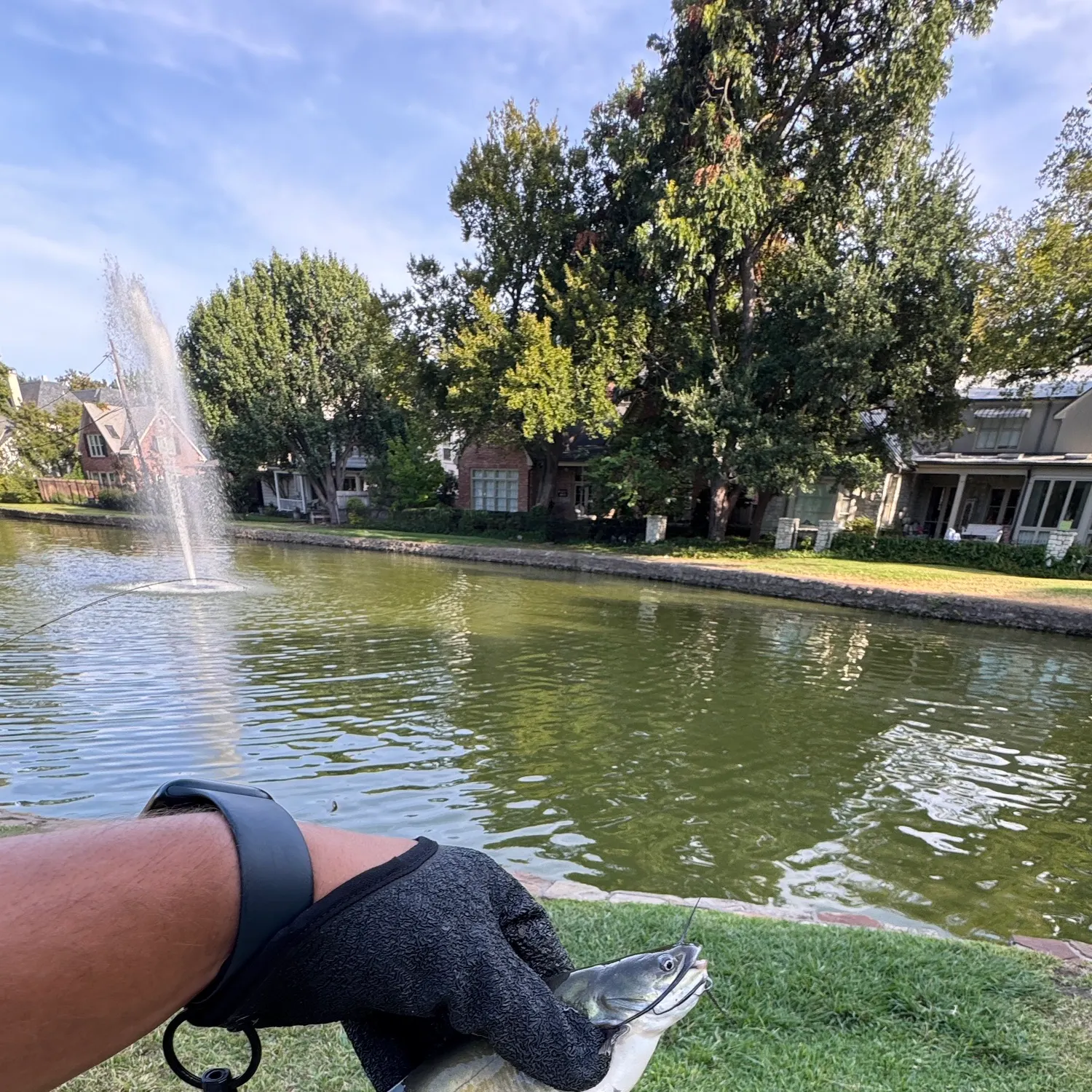 Fish caught on Fishbrain