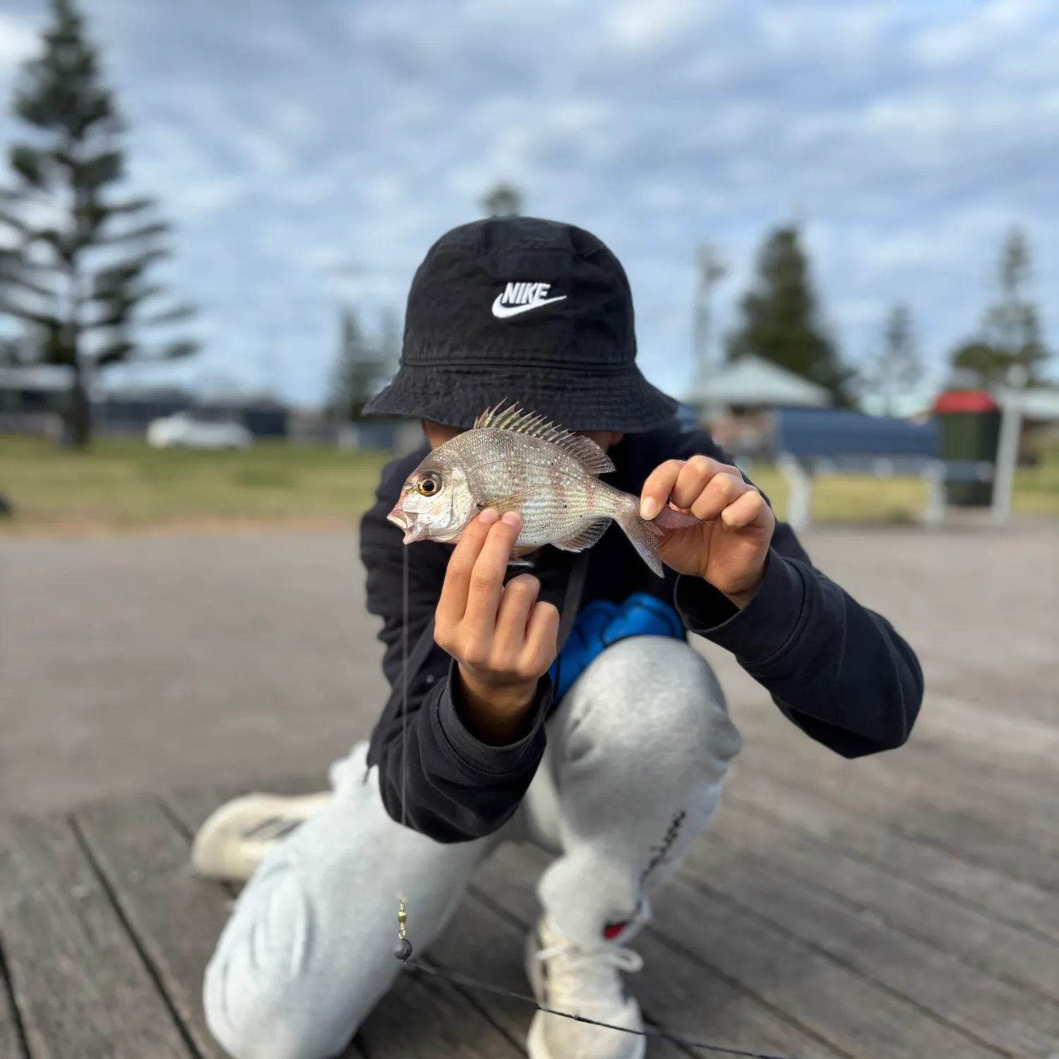Southern black bream caught on Fishbrain