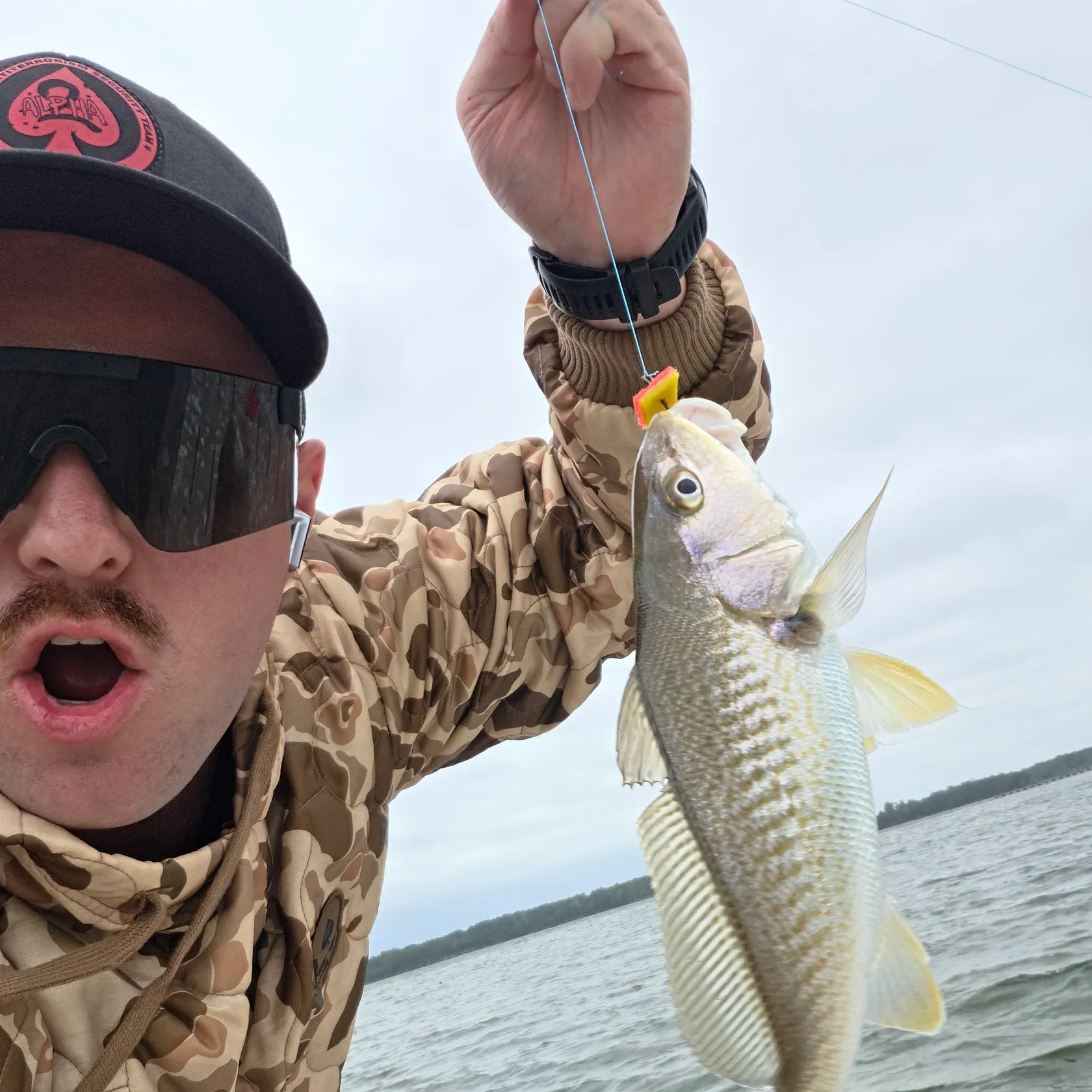 Atlantic croaker caught on Fishbrain