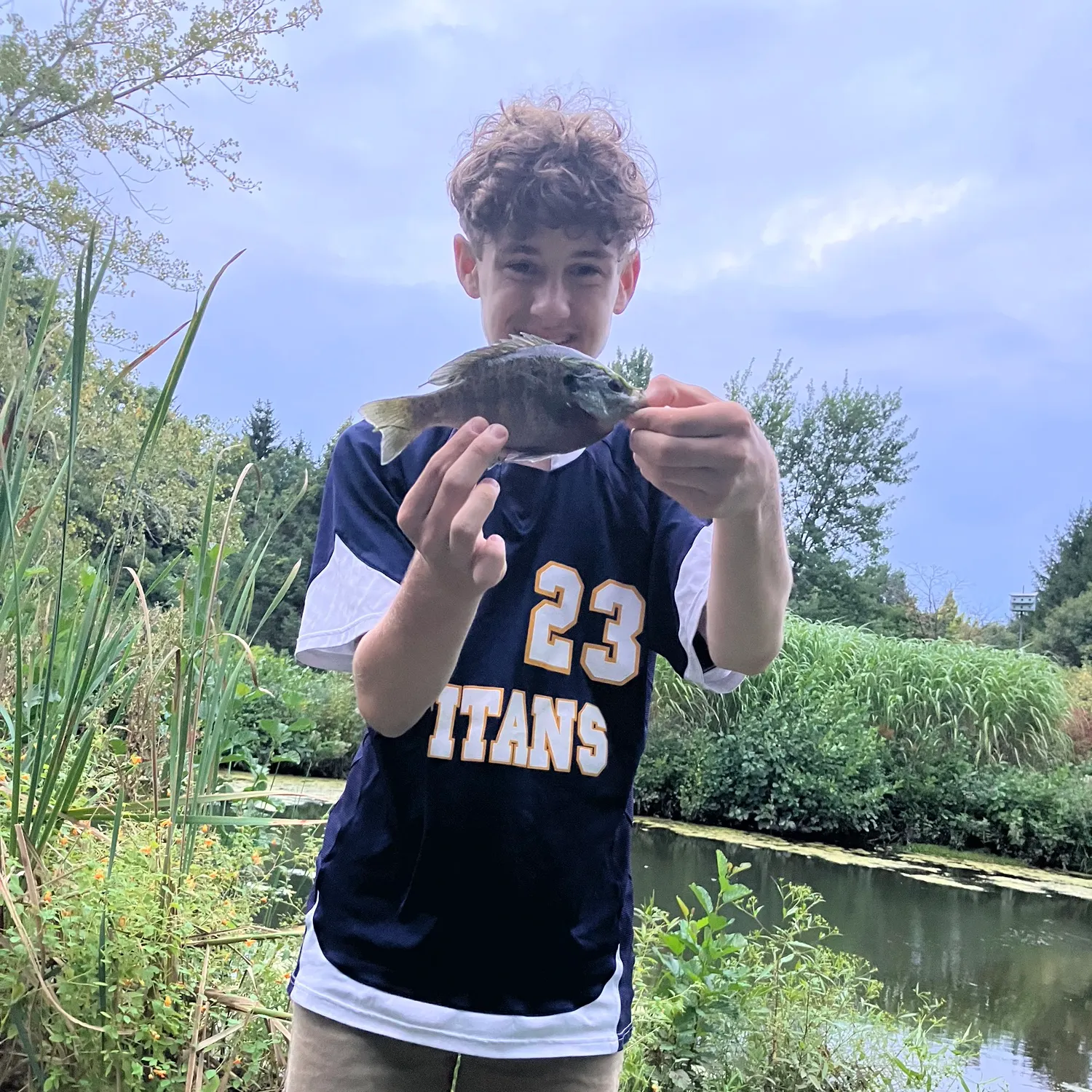 Bluegill caught on Fishbrain