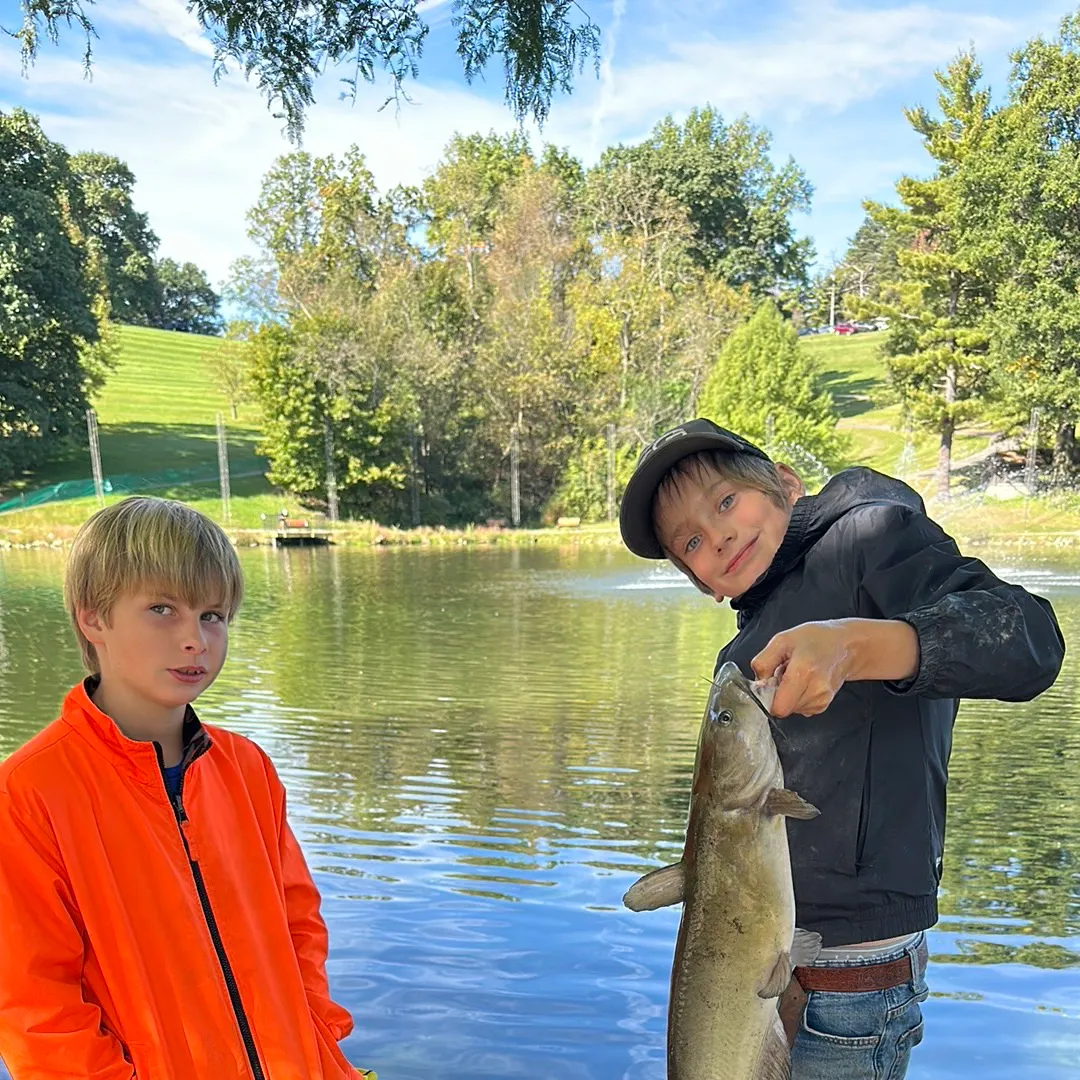 Channel catfish caught on Fishbrain