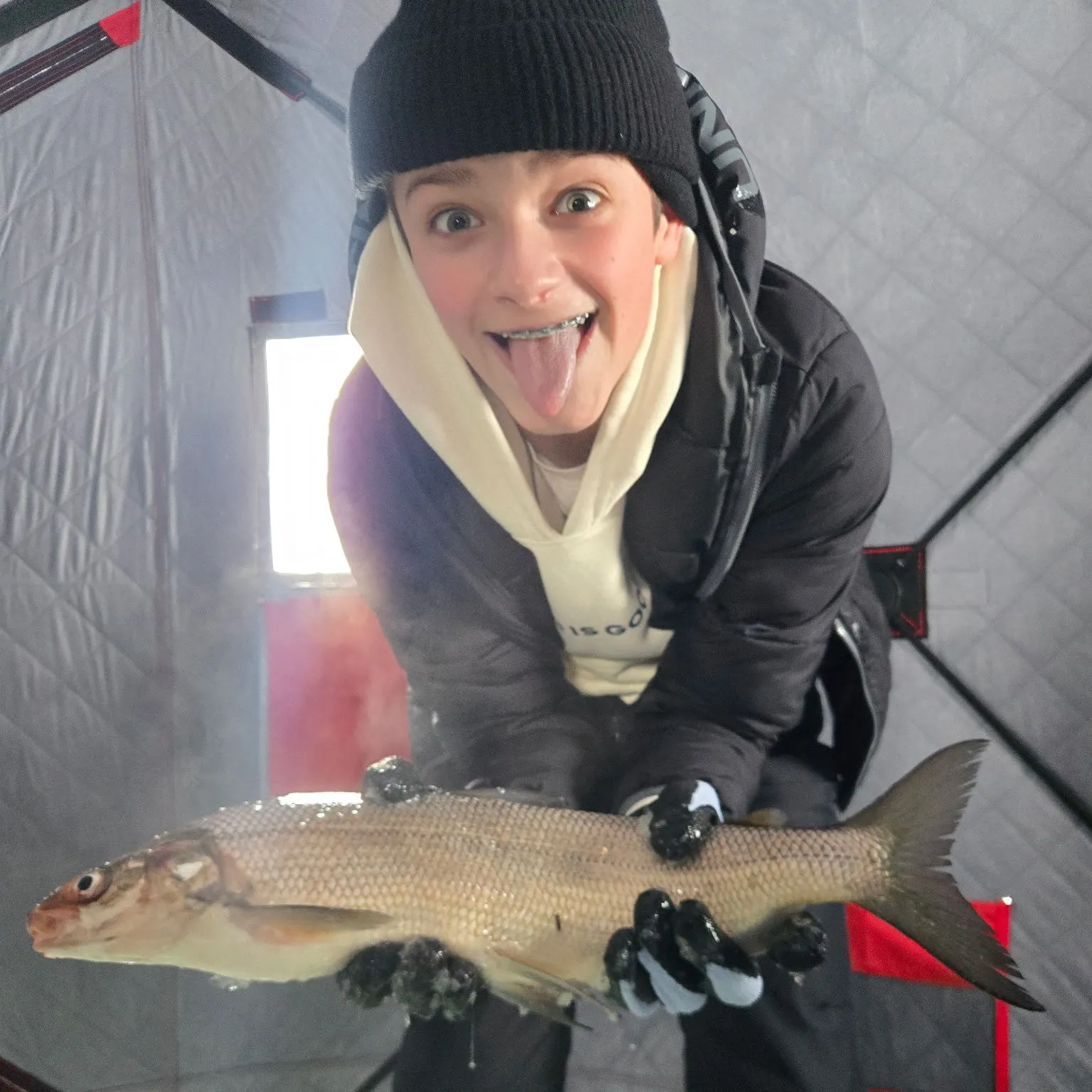 The most recent Lake whitefish catches on Fishbrain