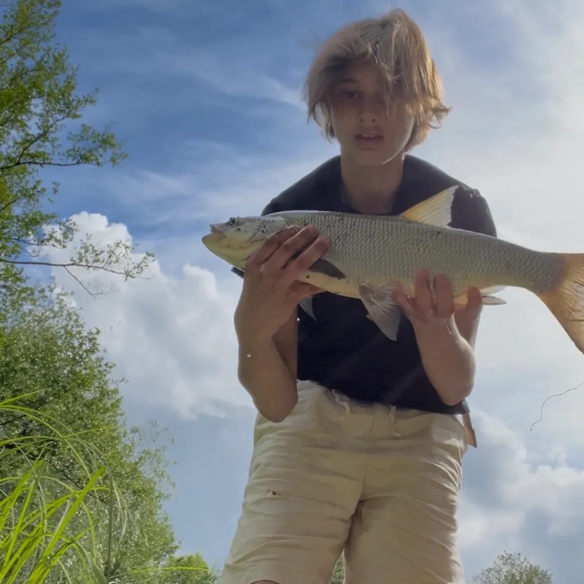 The most recent Asp catches on Fishbrain