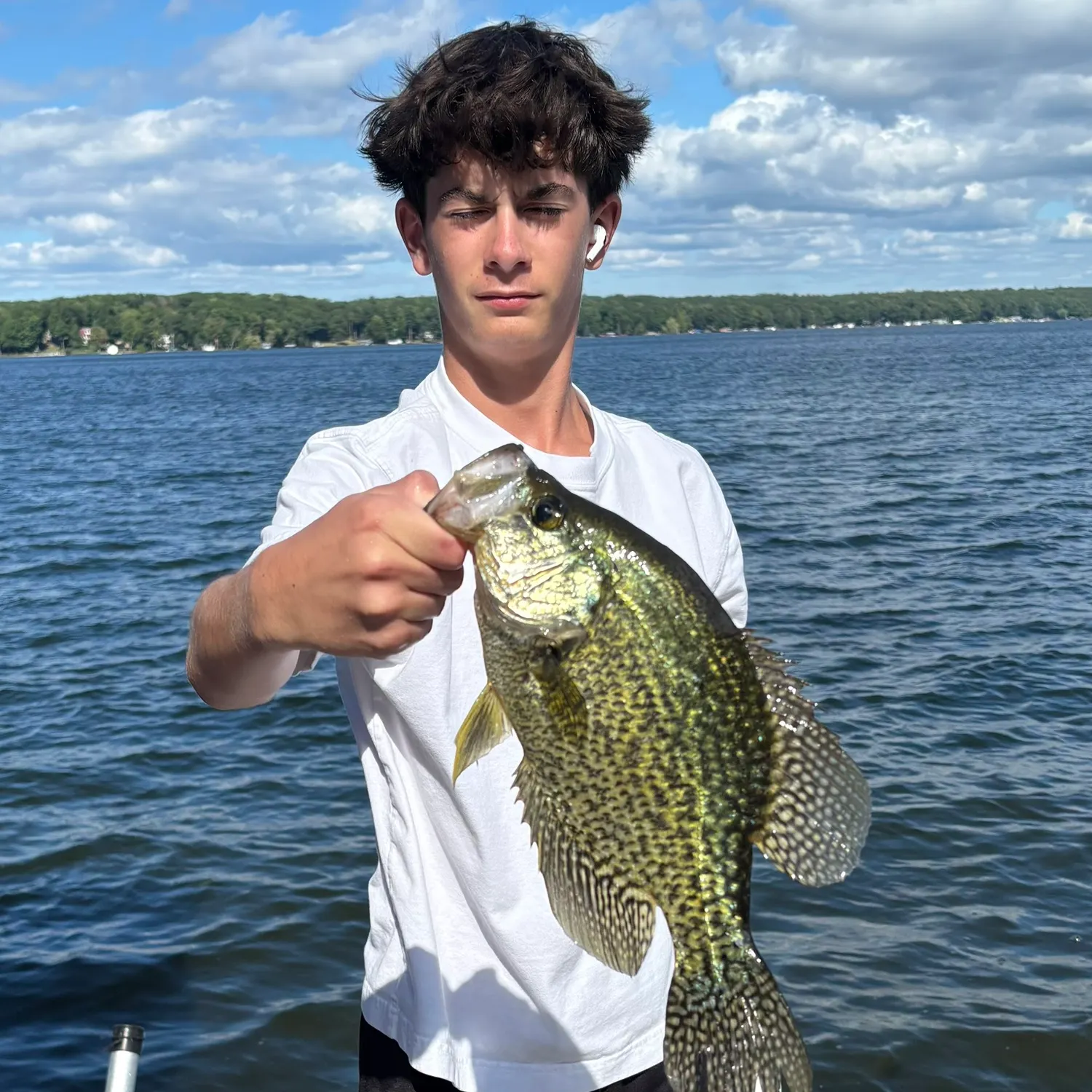 Black crappie caught on Fishbrain