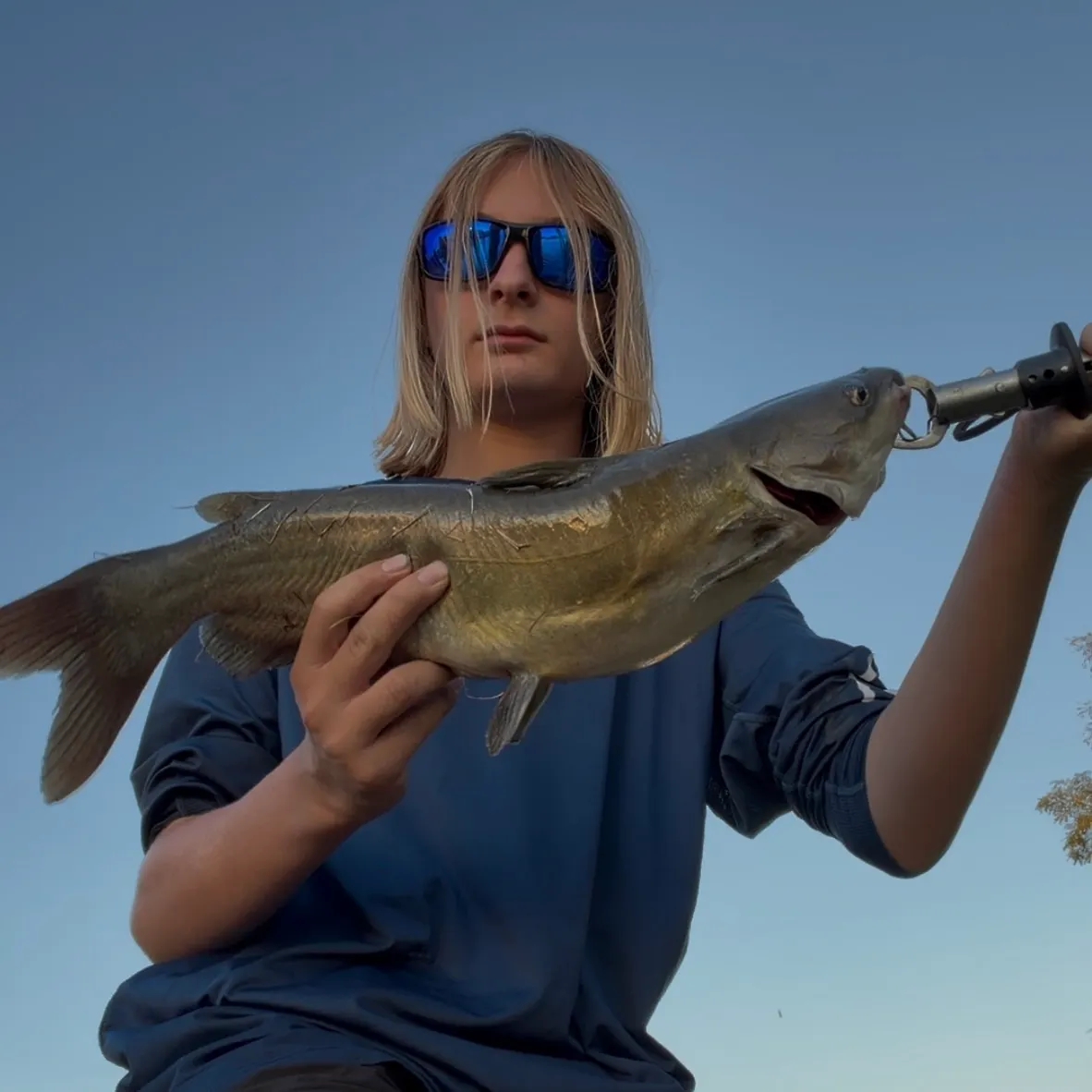 Channel catfish caught on Fishbrain