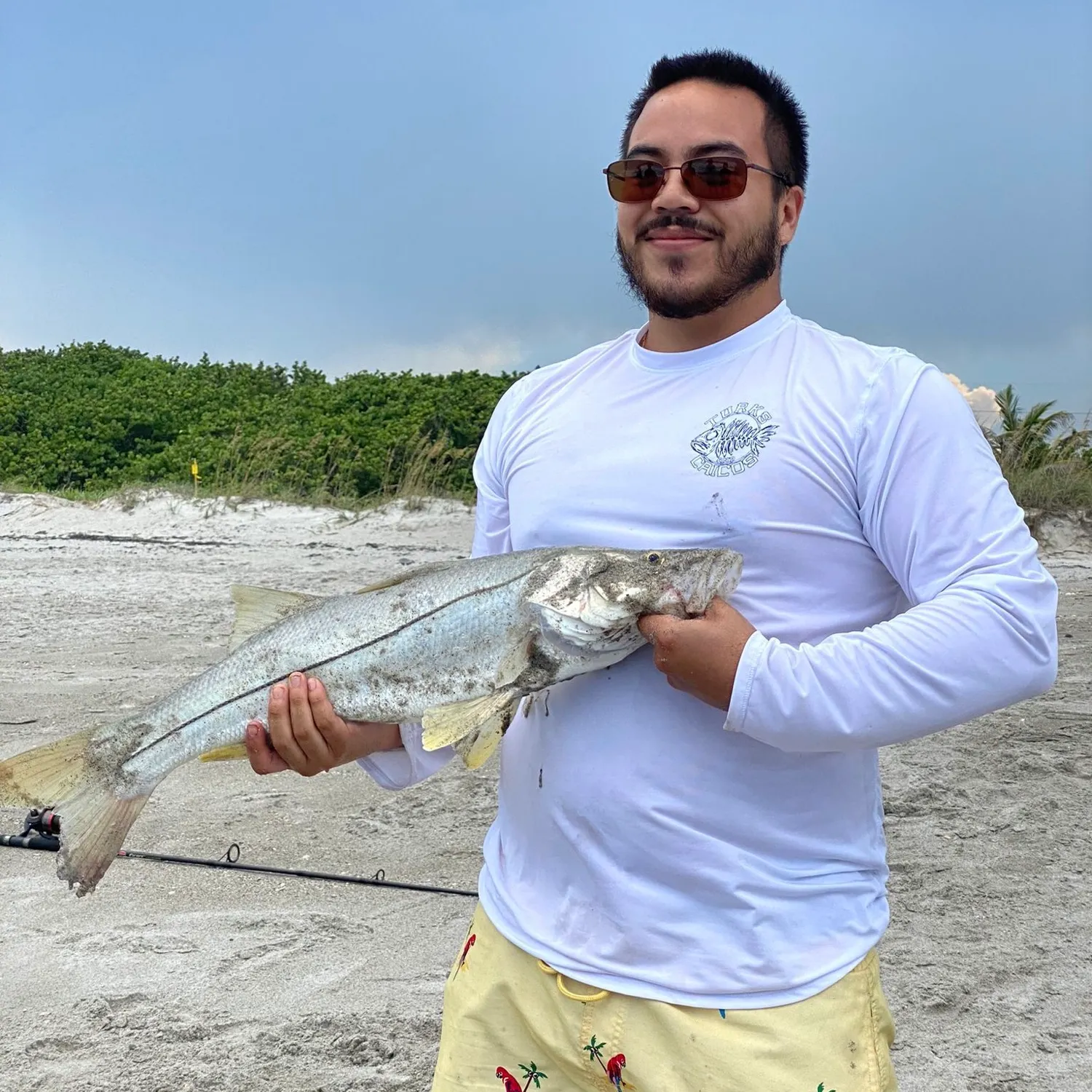The most recent Common snook catches on Fishbrain