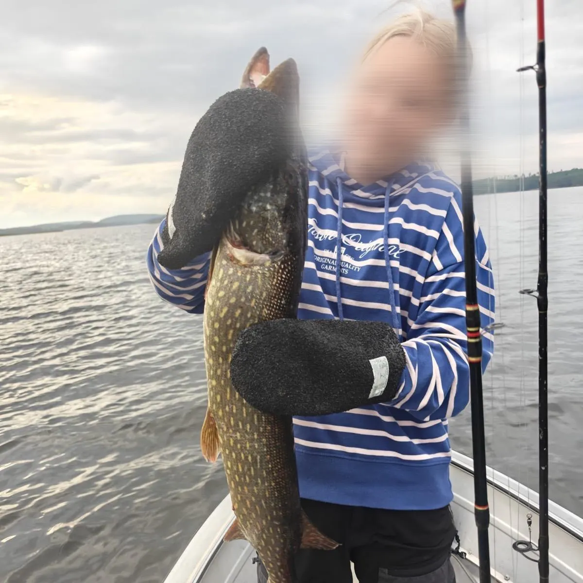 Northern pike caught on Fishbrain