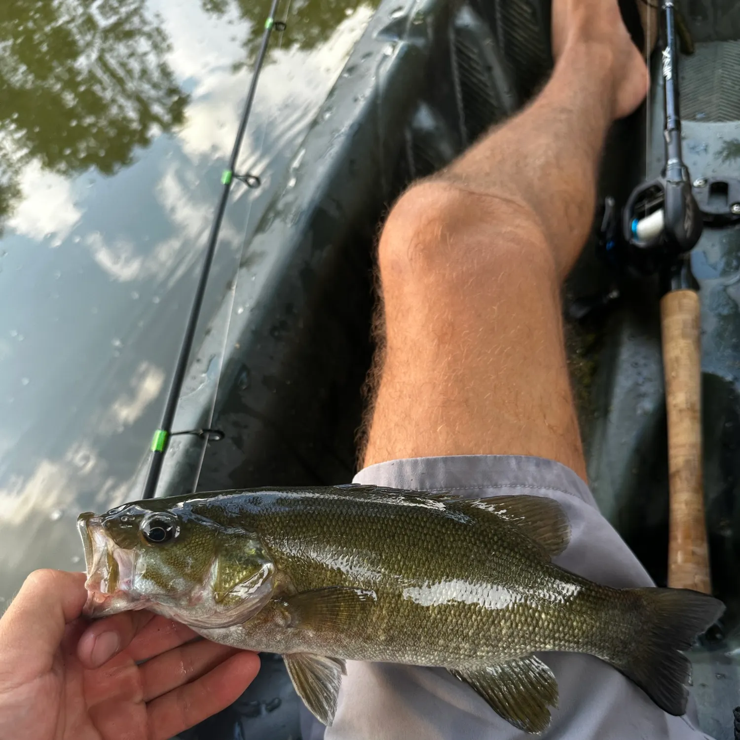 Smallmouth bass caught on Fishbrain