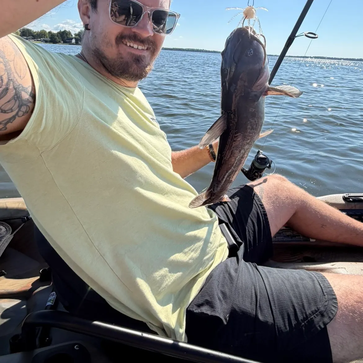 Channel catfish caught on Fishbrain
