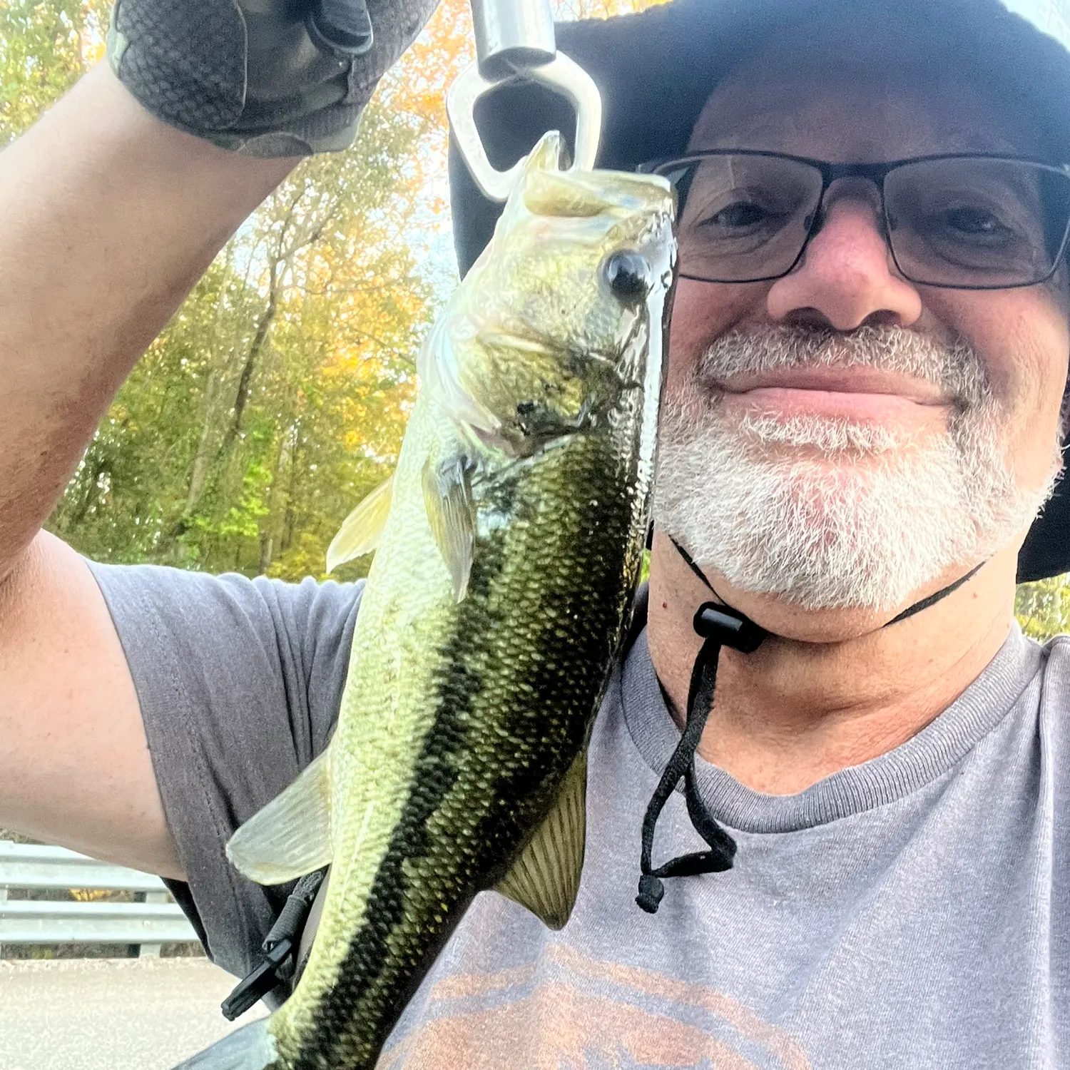 Largemouth bass caught on Fishbrain
