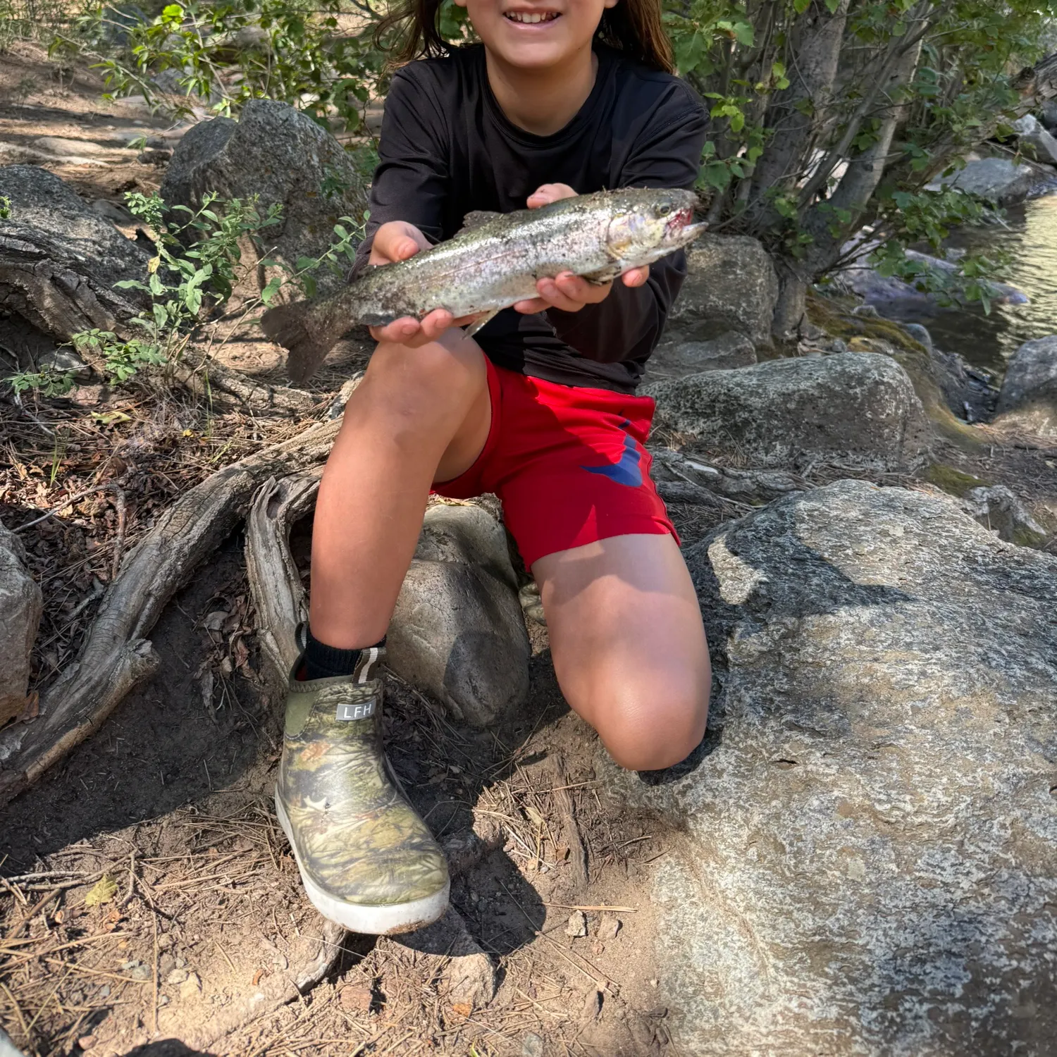 Rainbow trout caught on Fishbrain