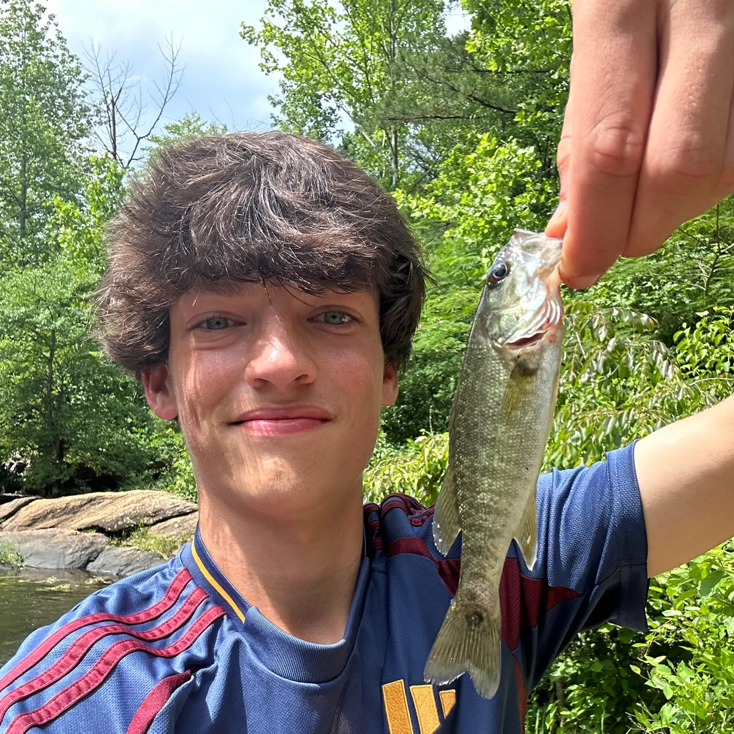 The most recent Shoal bass catches on Fishbrain