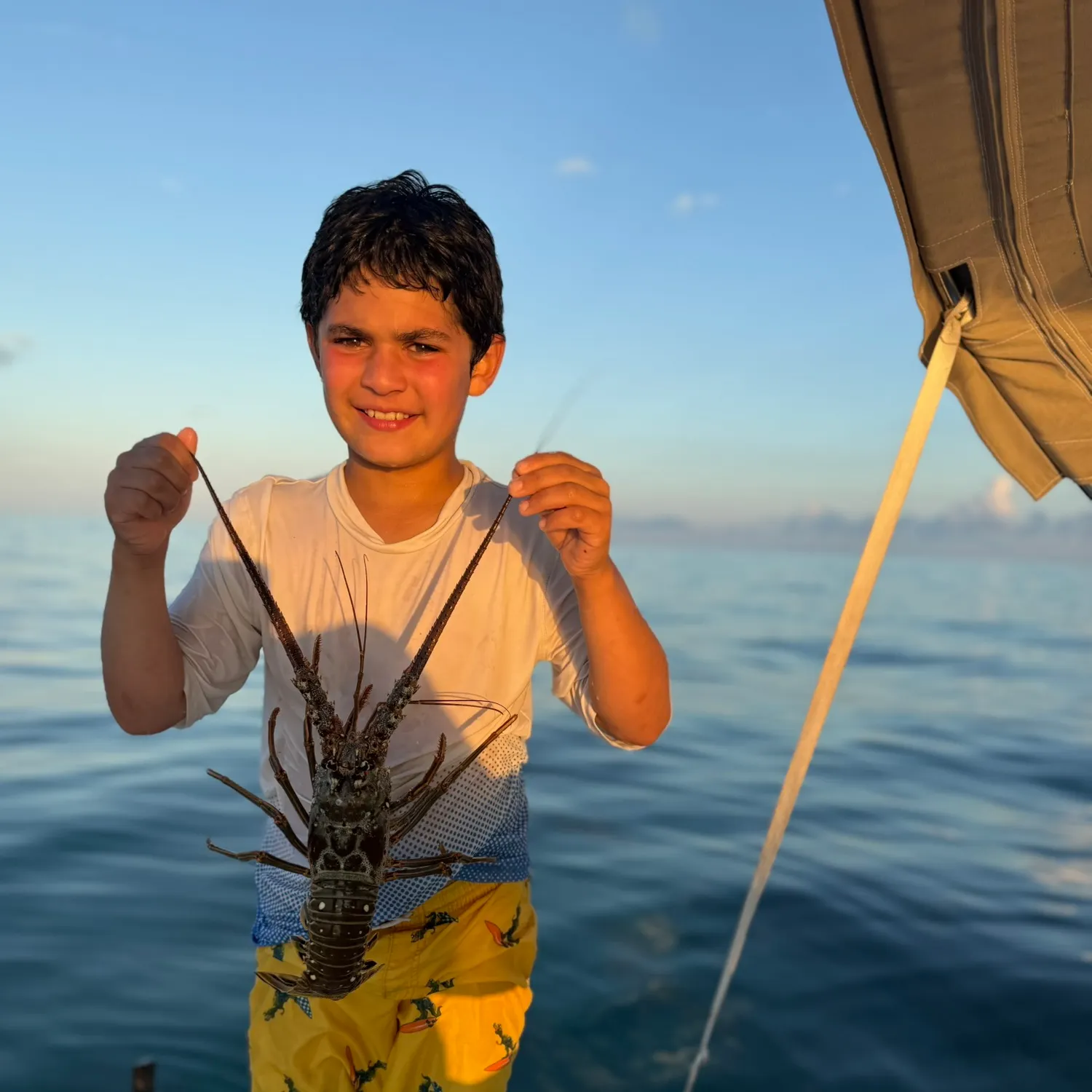 The most recent Caribbean spiny lobster catches on Fishbrain