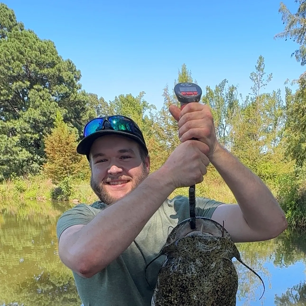 Flathead catfish caught on Fishbrain