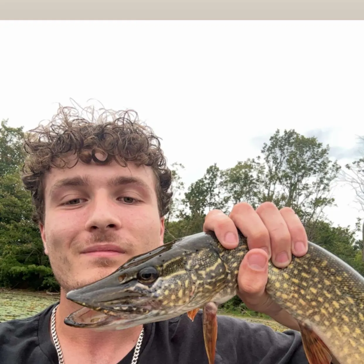 Northern pike caught on Fishbrain