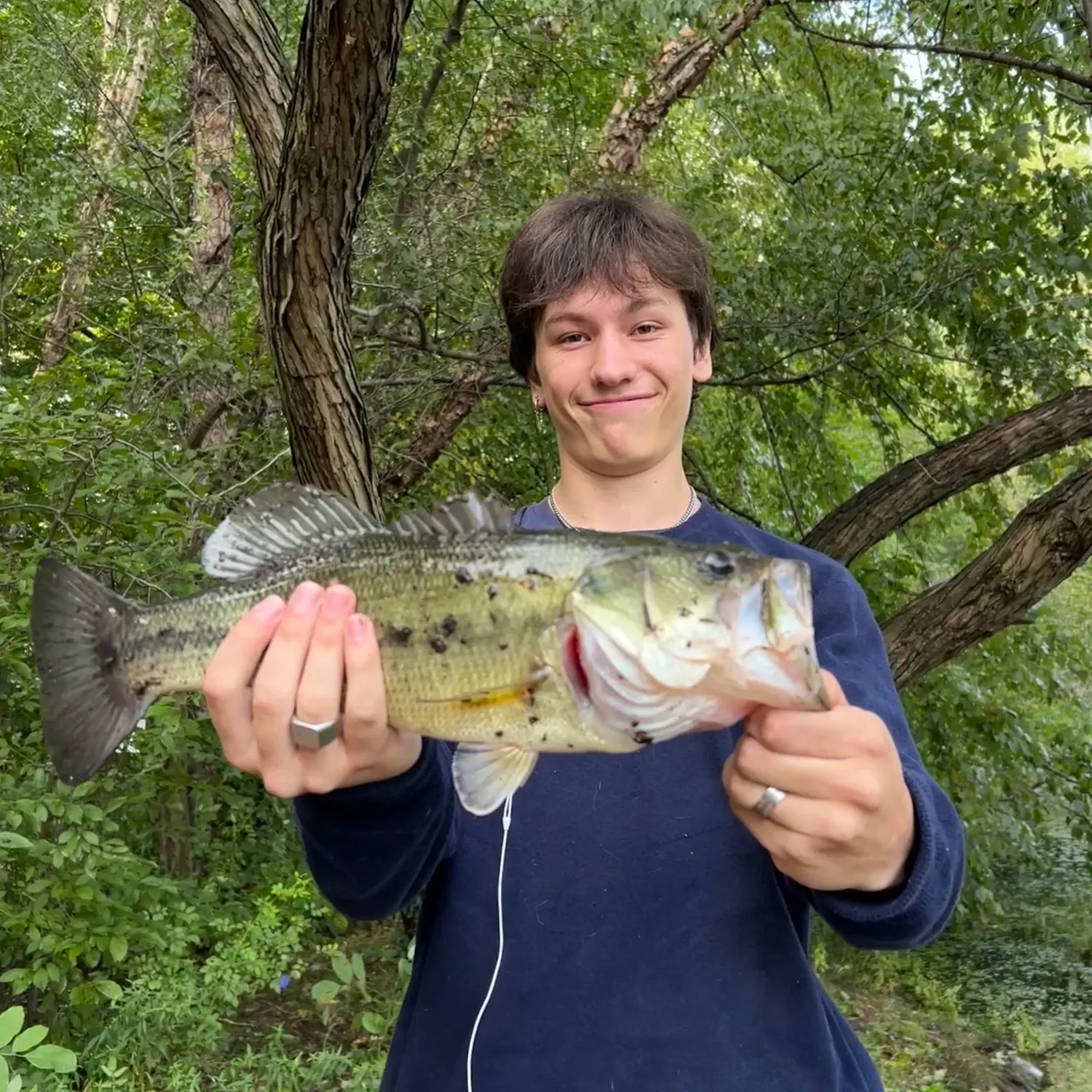 Largemouth bass caught on Fishbrain