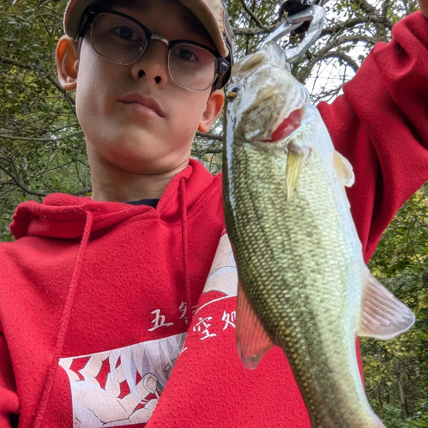 Largemouth bass caught on Fishbrain