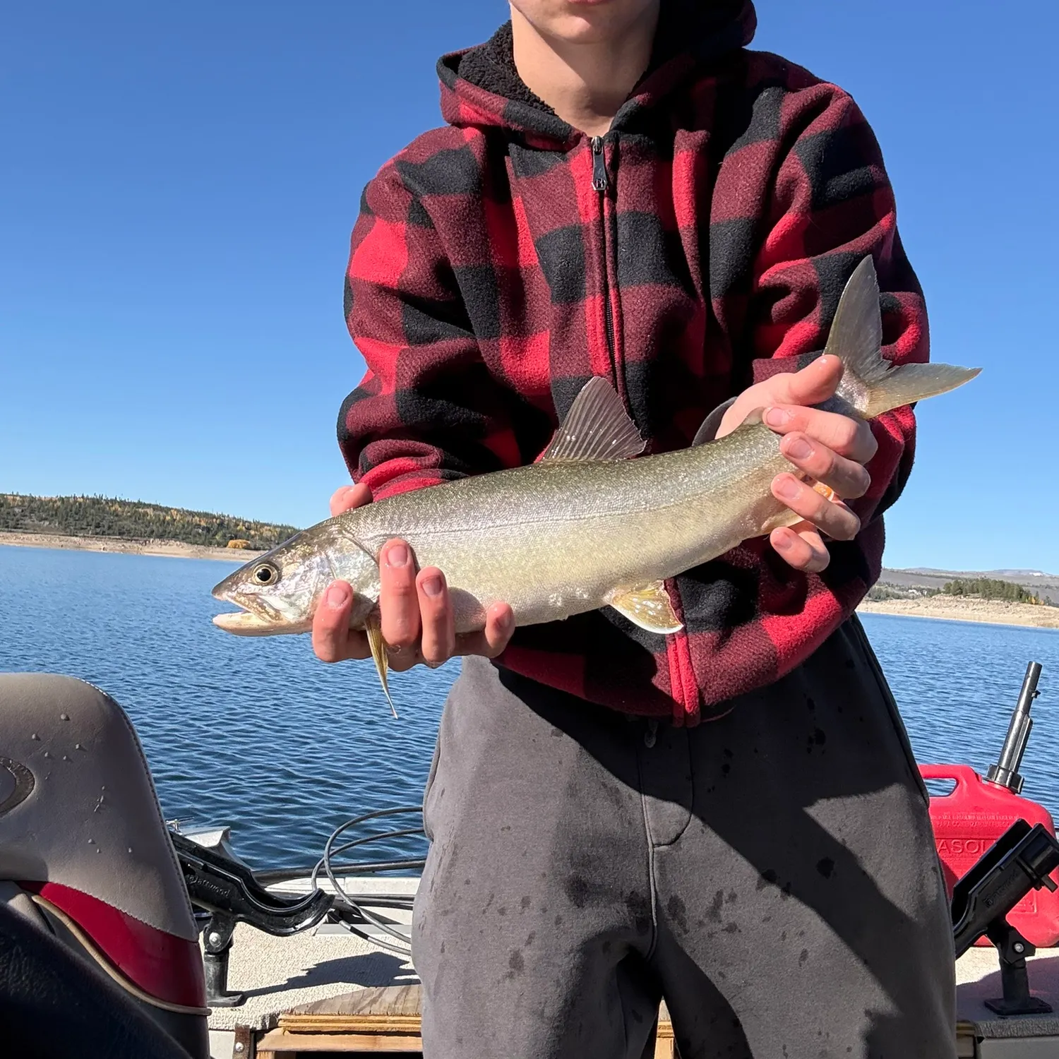 Lake char caught on Fishbrain