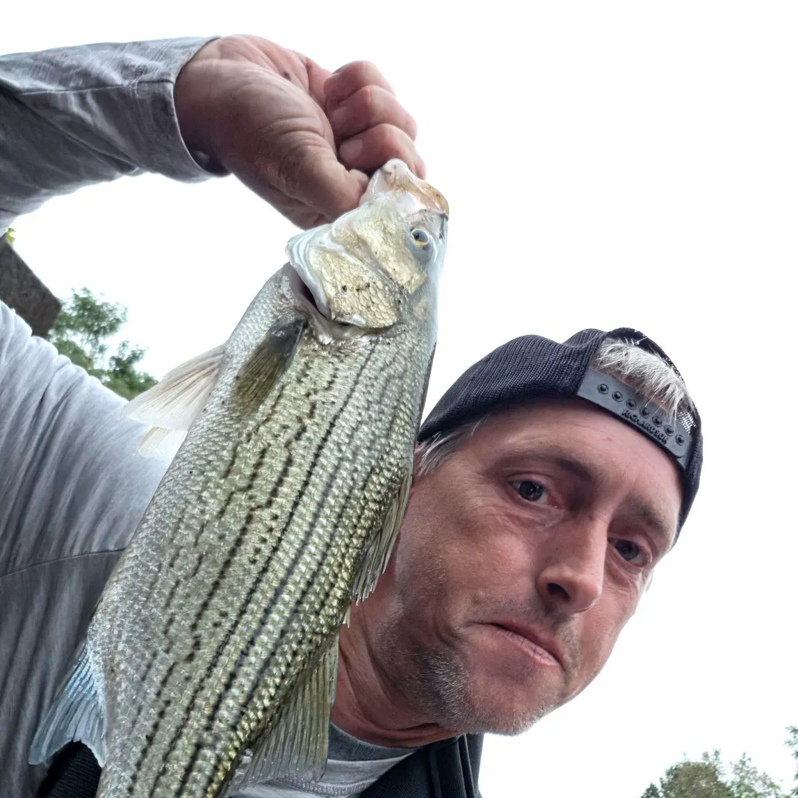 Wiper caught on Fishbrain
