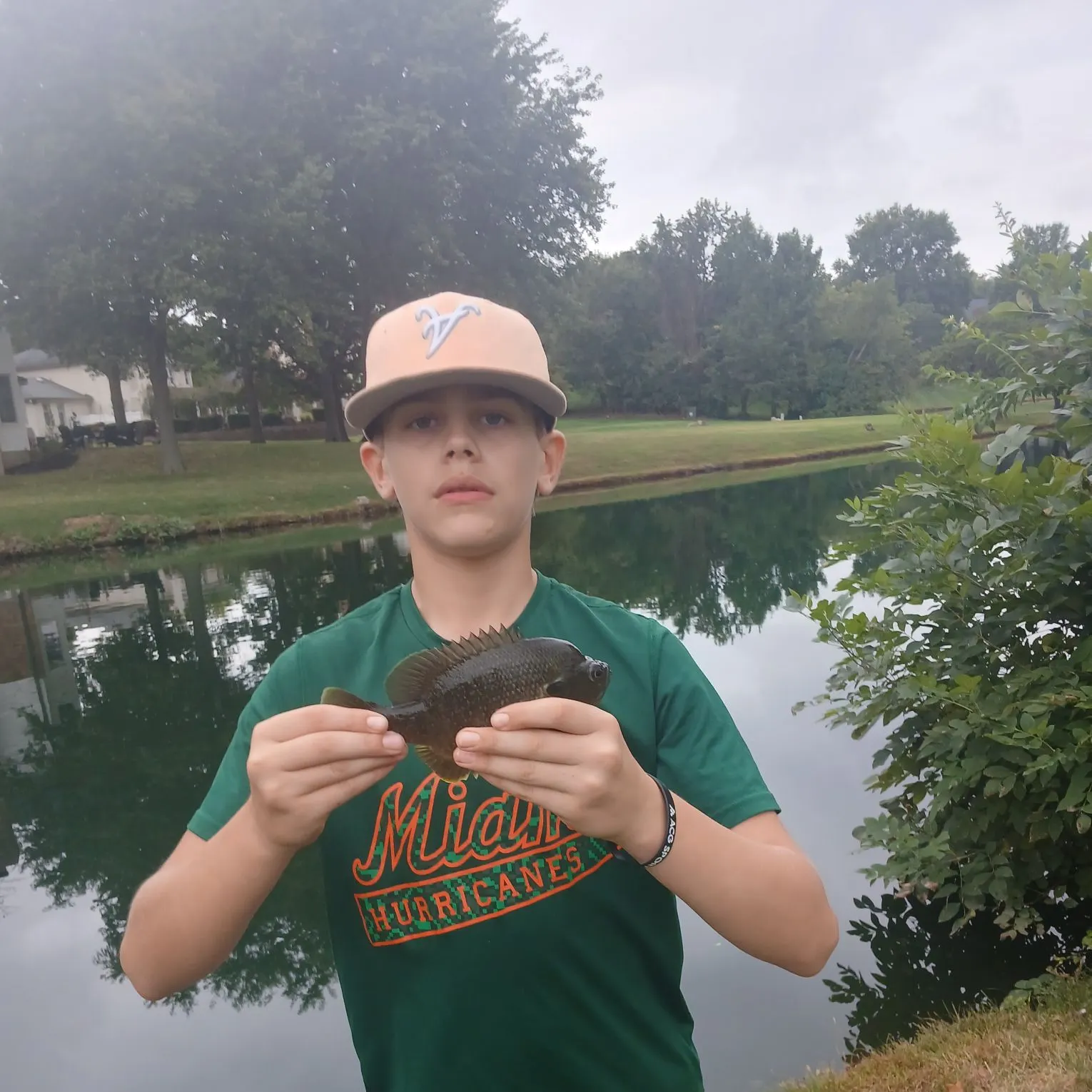 Greengill hybrid caught on Fishbrain