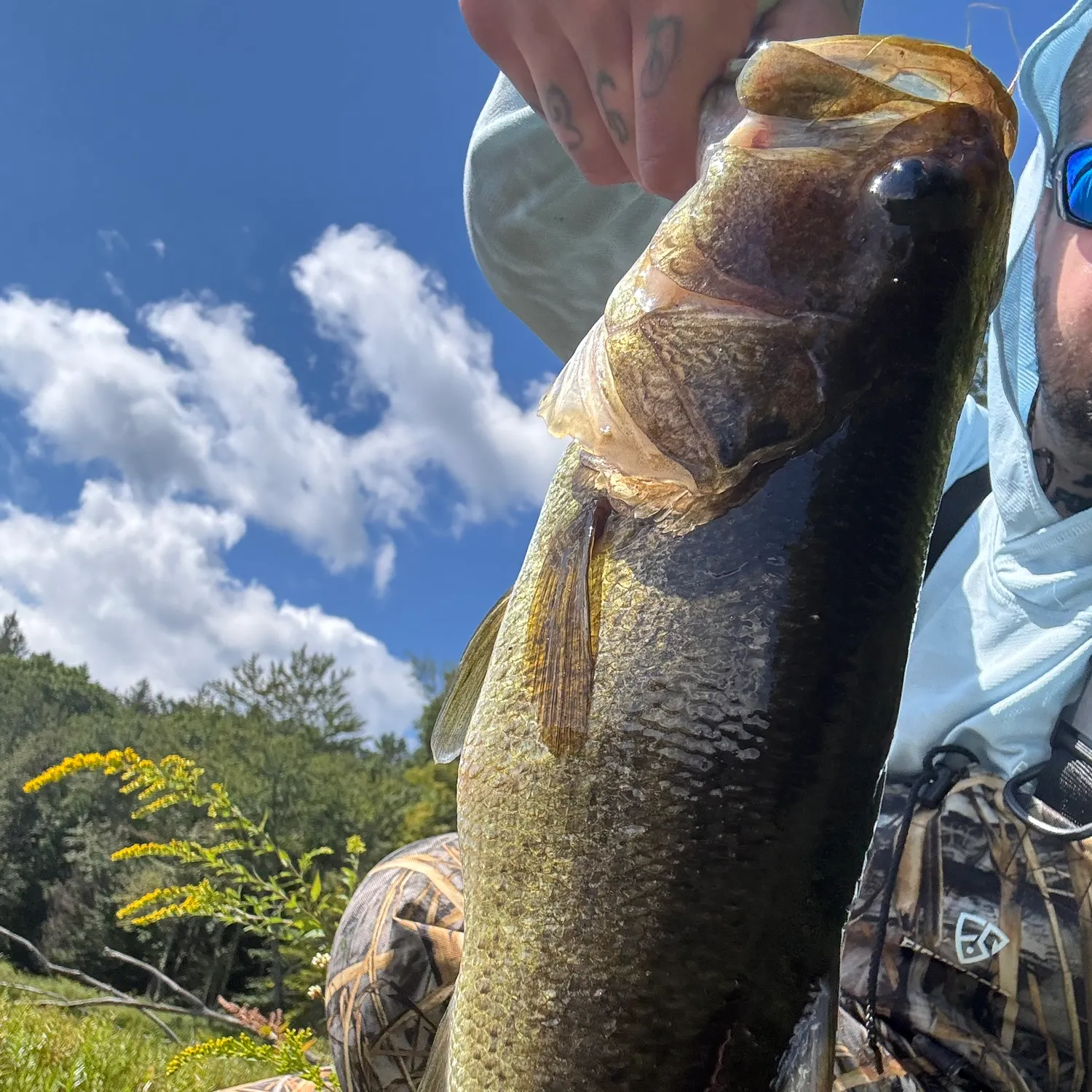 Largemouth bass caught on Fishbrain
