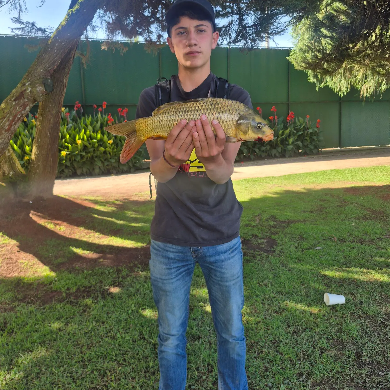 The most recent Koi x common carp catches on Fishbrain