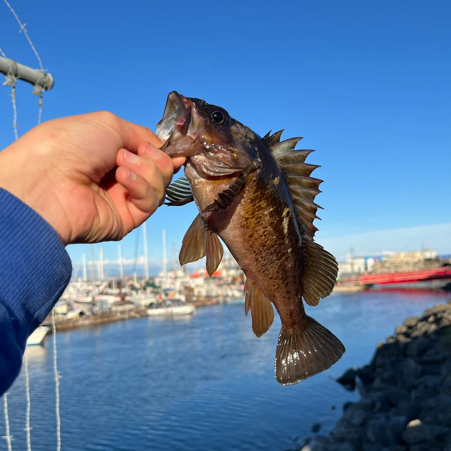 catch