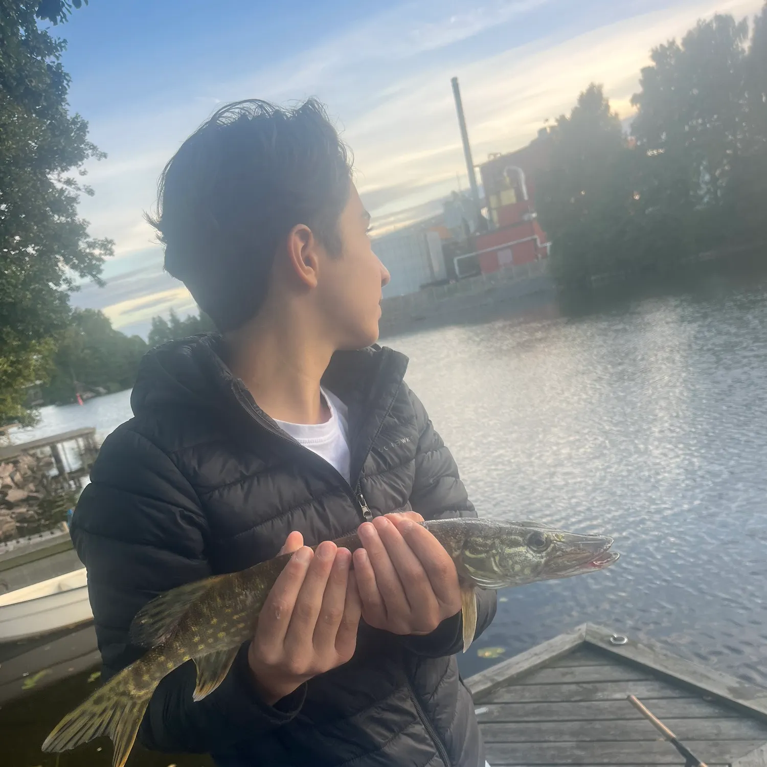 Northern pike caught on Fishbrain