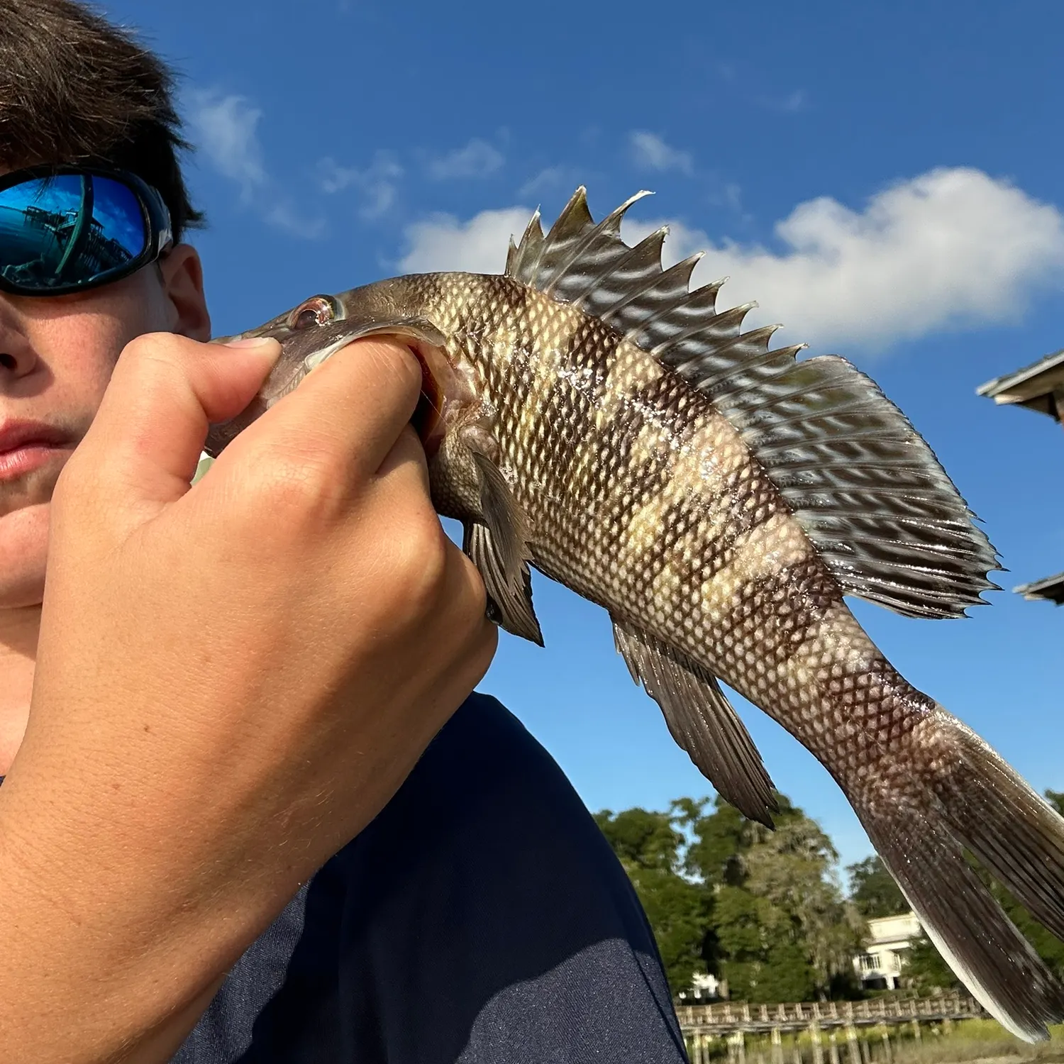Fish caught on Fishbrain