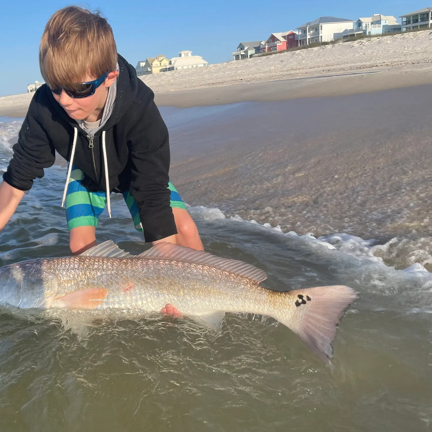 The most recent Red drum catches on Fishbrain