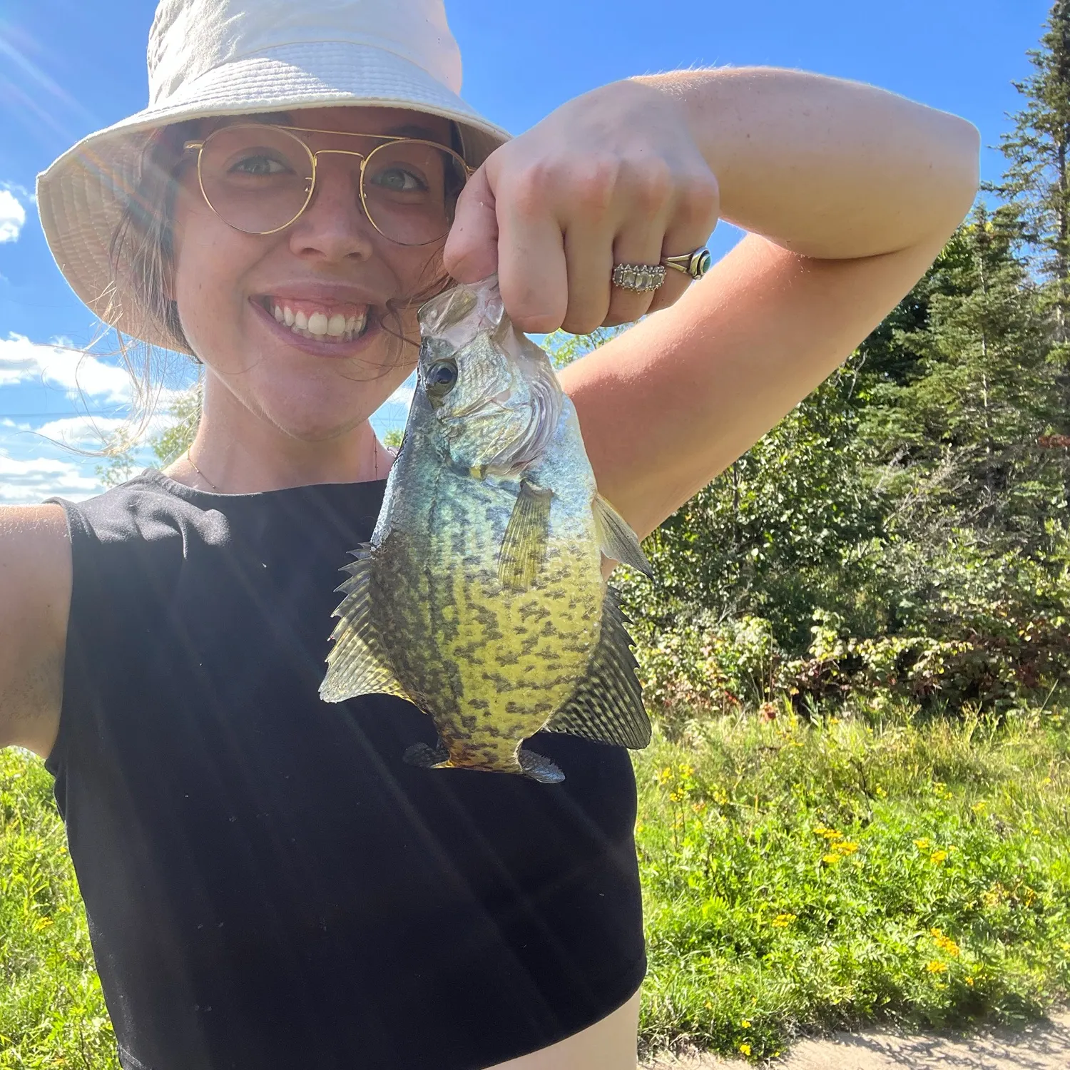 Black crappie caught on Fishbrain