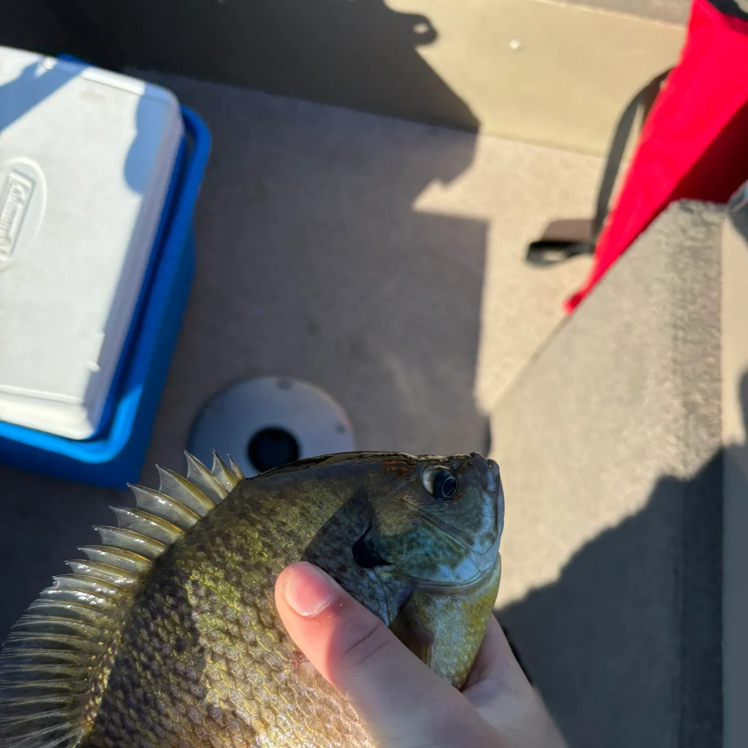 catch