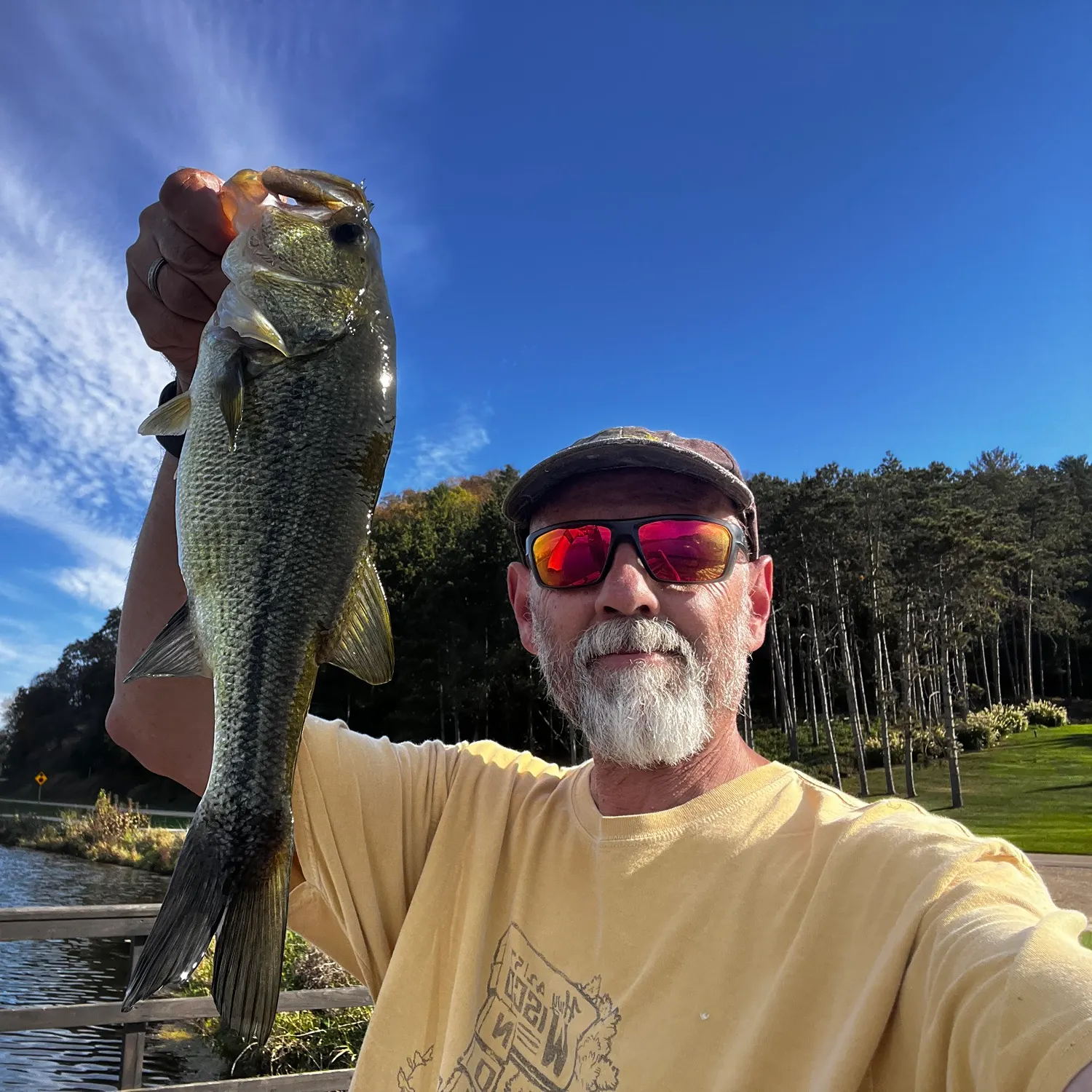 Largemouth bass caught on Fishbrain