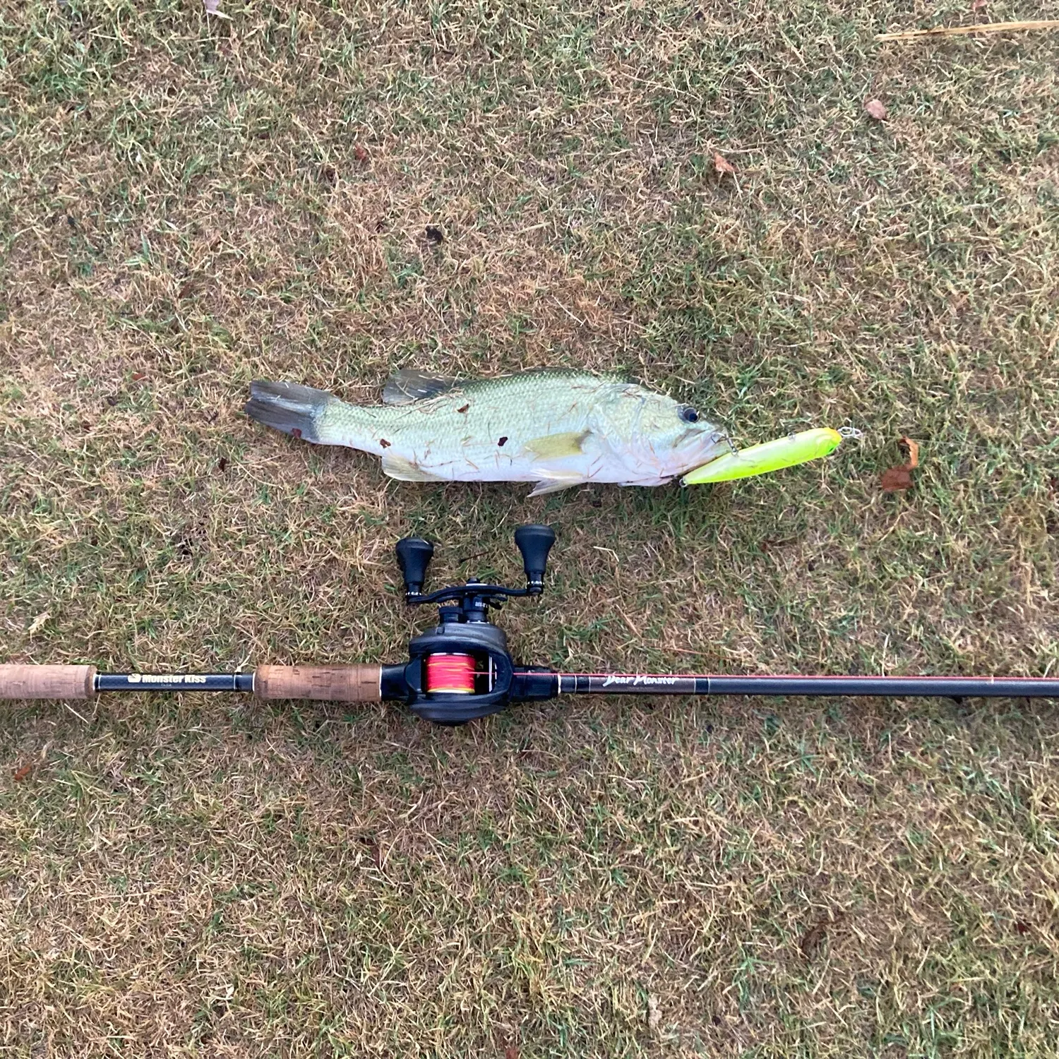Largemouth bass caught on Fishbrain
