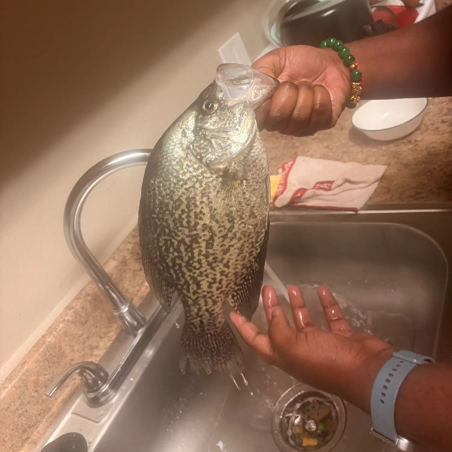 The most recent Black crappie catches on Fishbrain