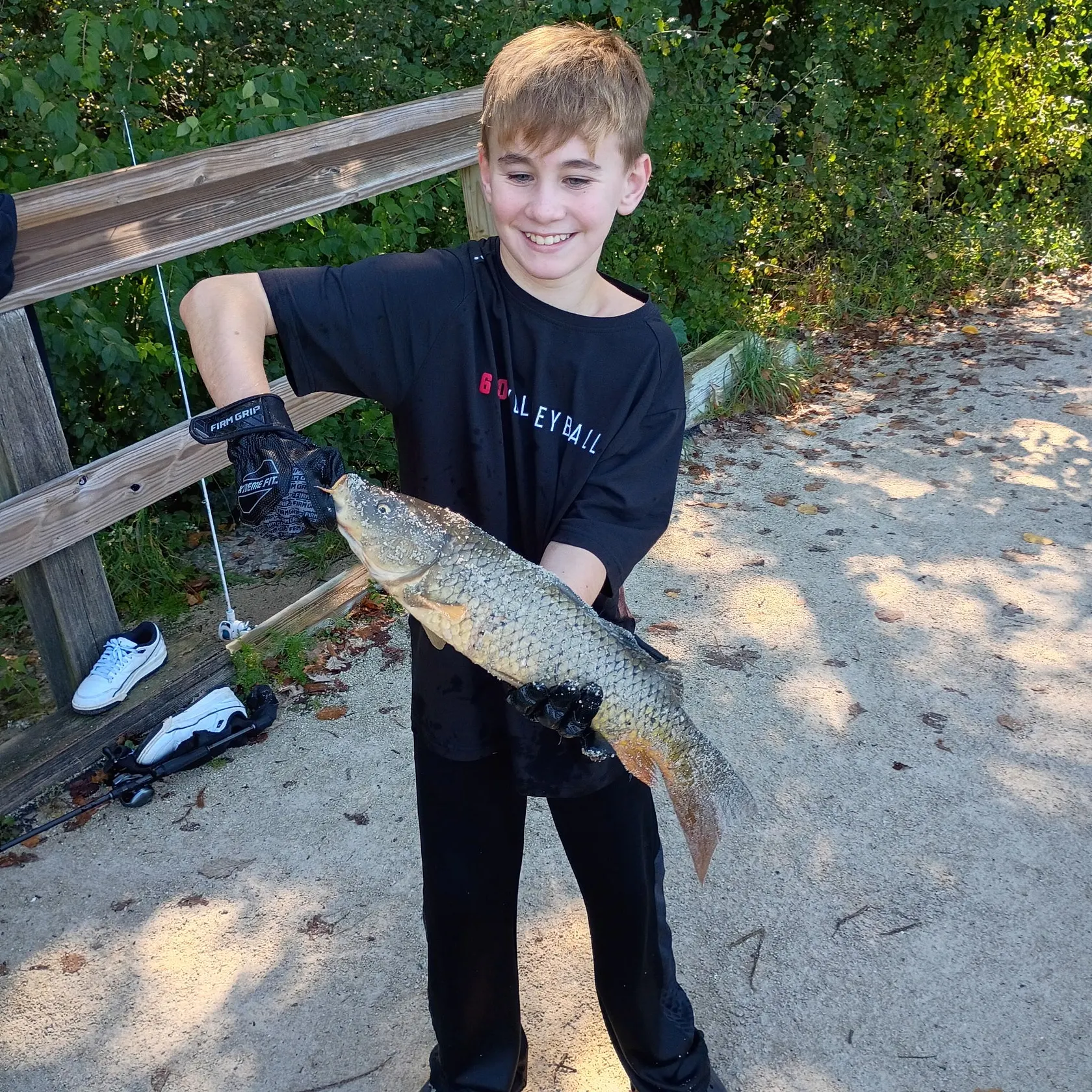 Common carp caught on Fishbrain