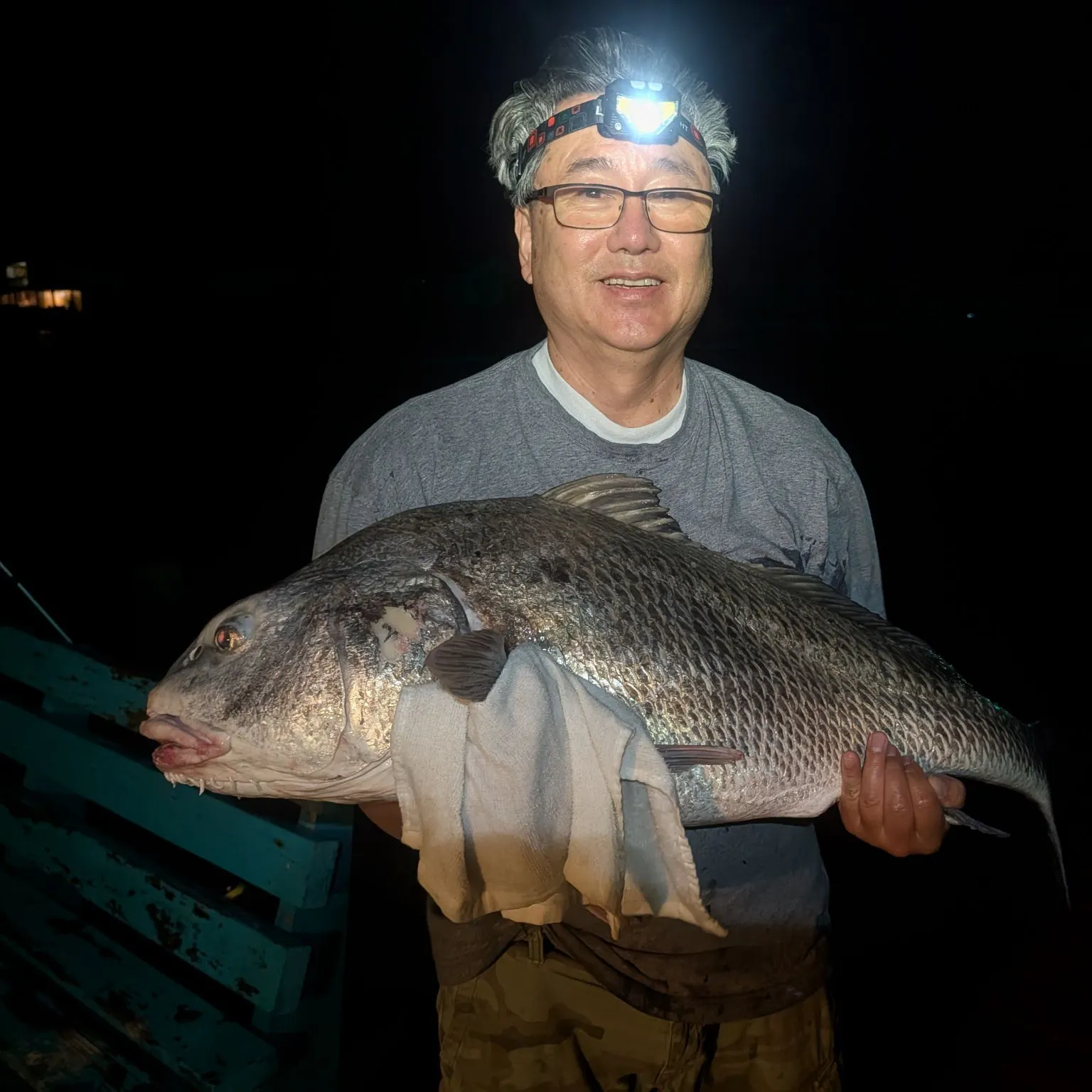 Black drum caught on Fishbrain