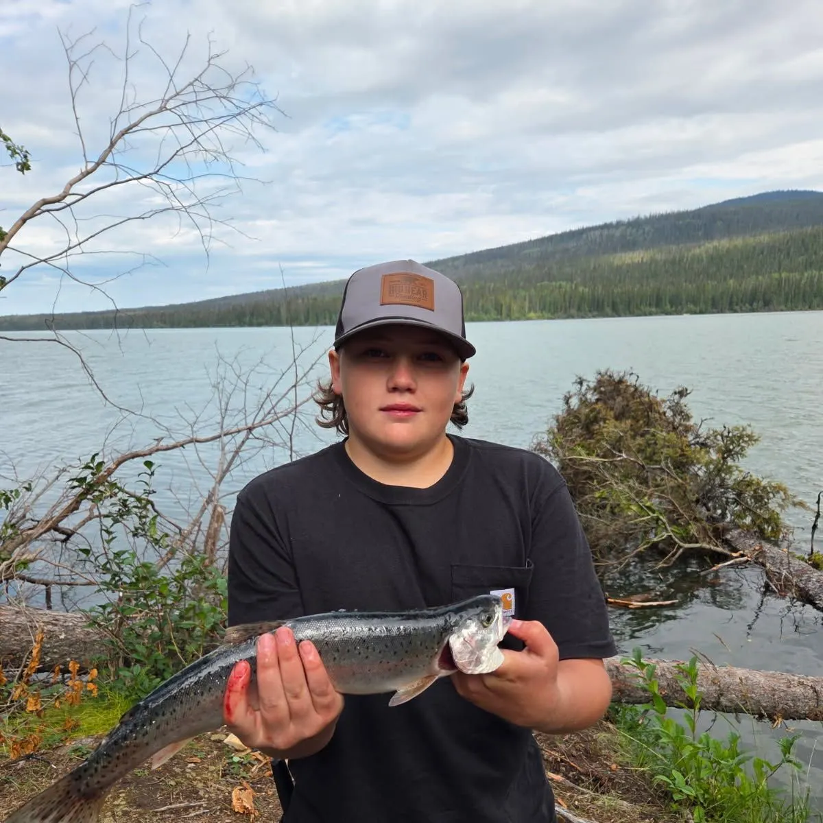 Rainbow trout caught on Fishbrain