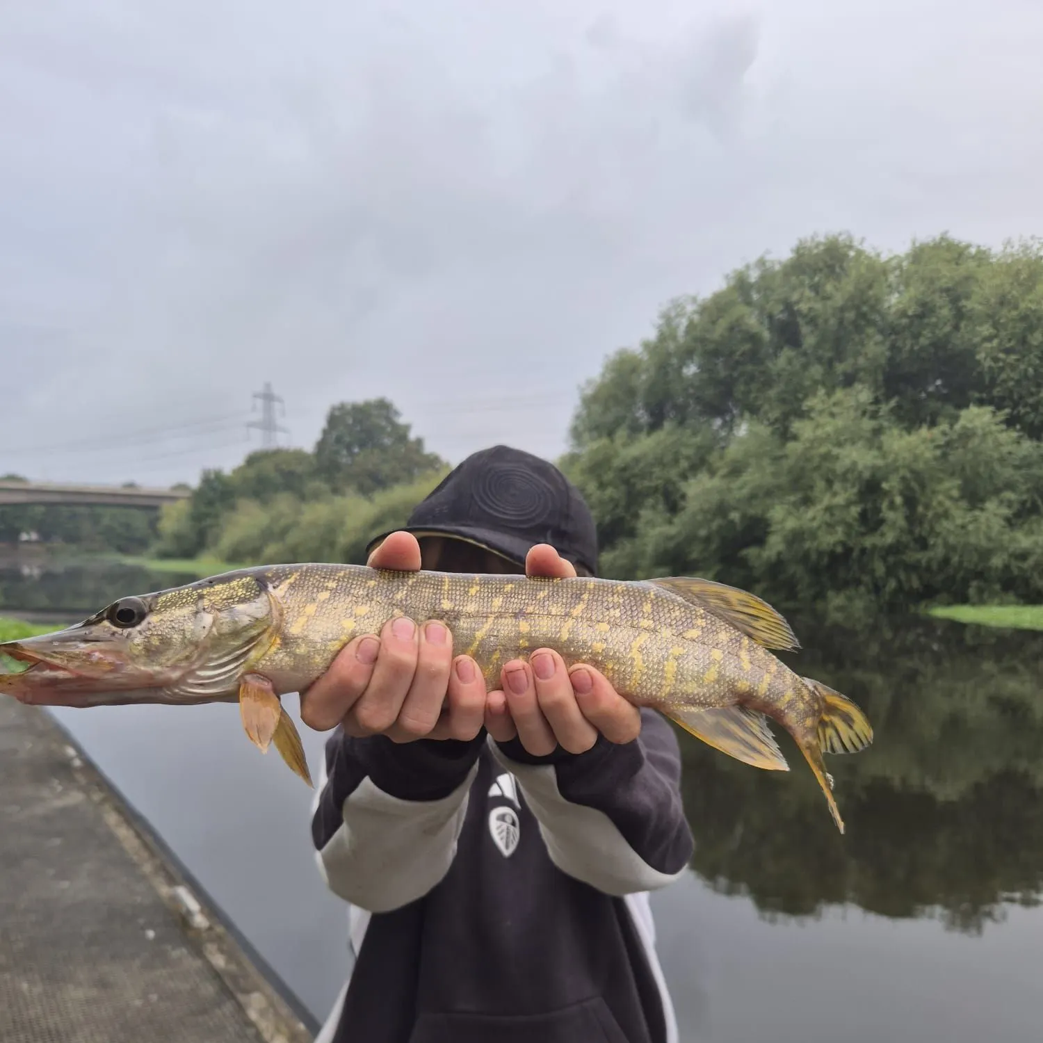 Northern pike caught on Fishbrain