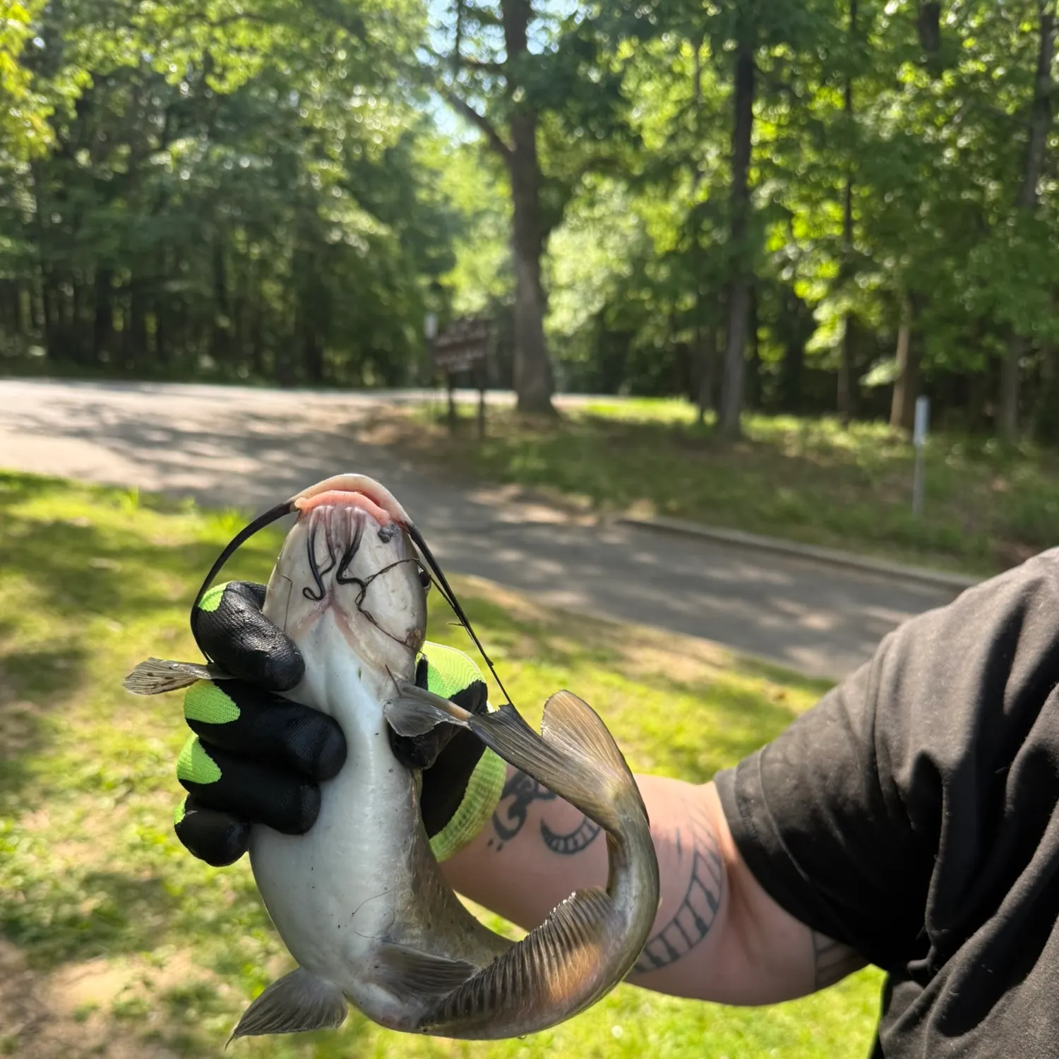 catch