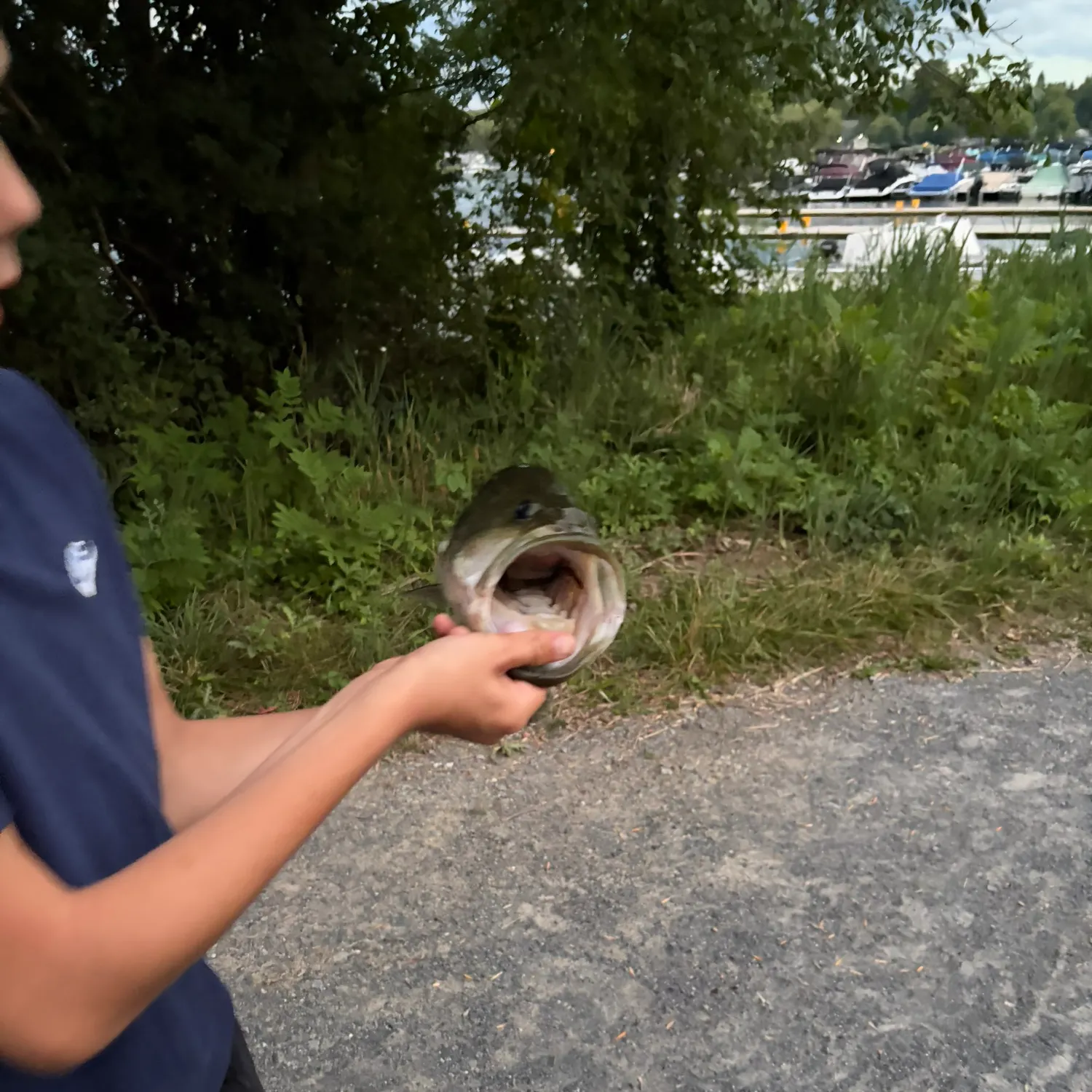 Fish caught on Fishbrain