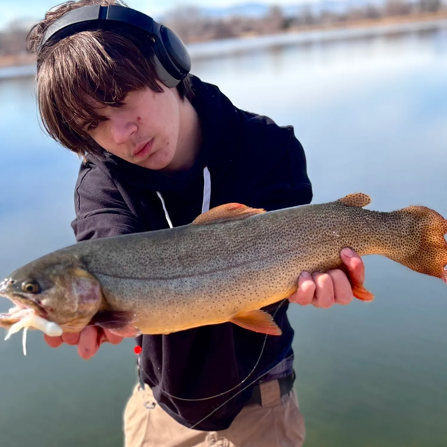 The most recent Snake River fine-spotted cutthroat trout catches on Fishbrain