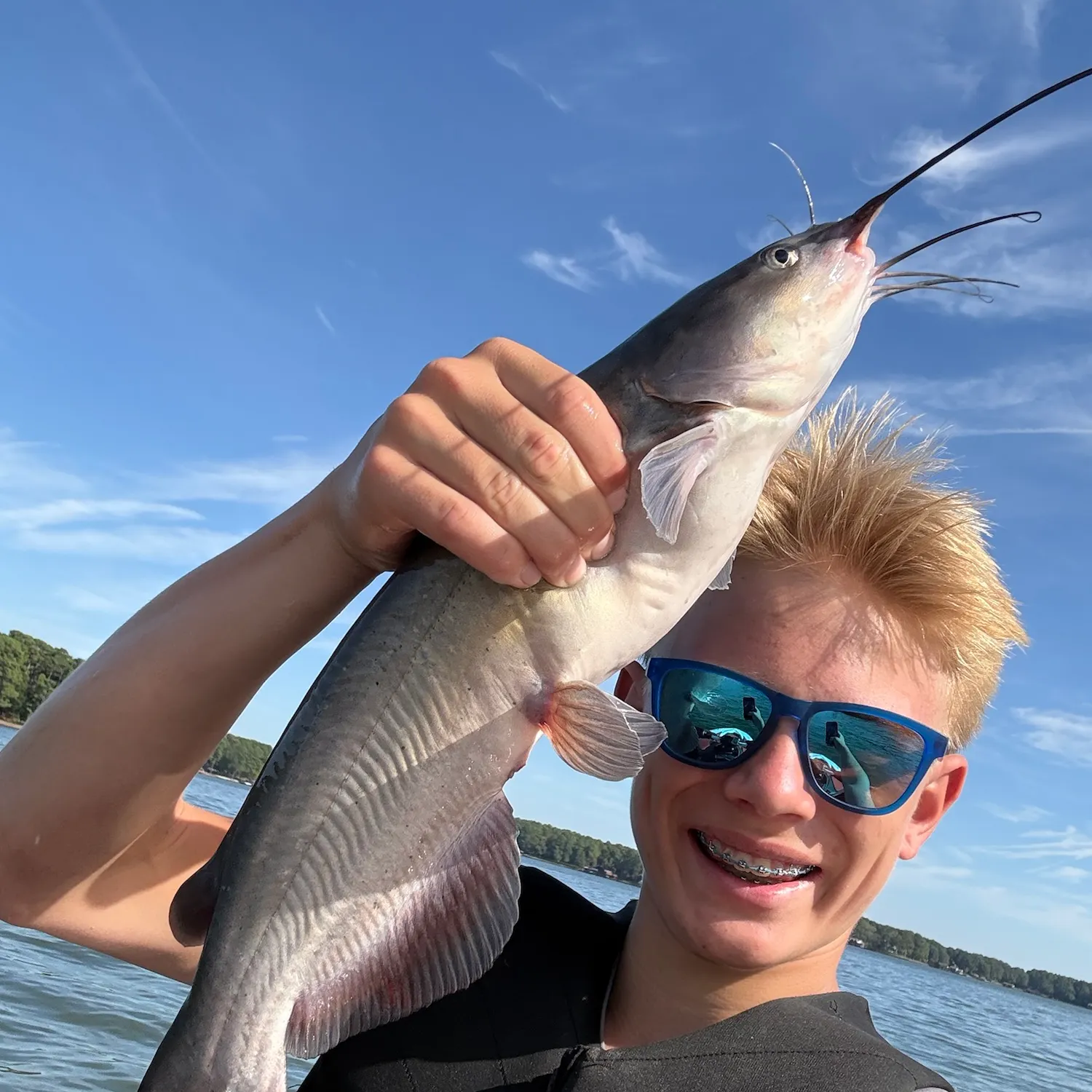 Blue catfish caught on Fishbrain