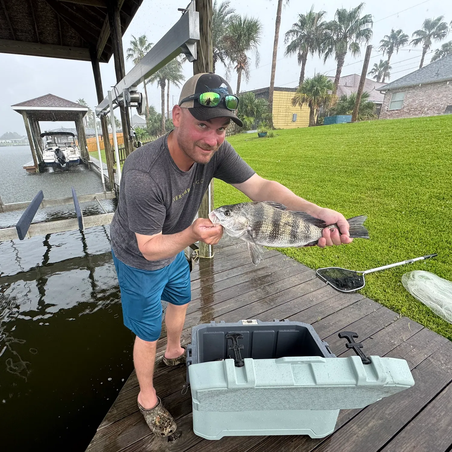 Black drum caught on Fishbrain
