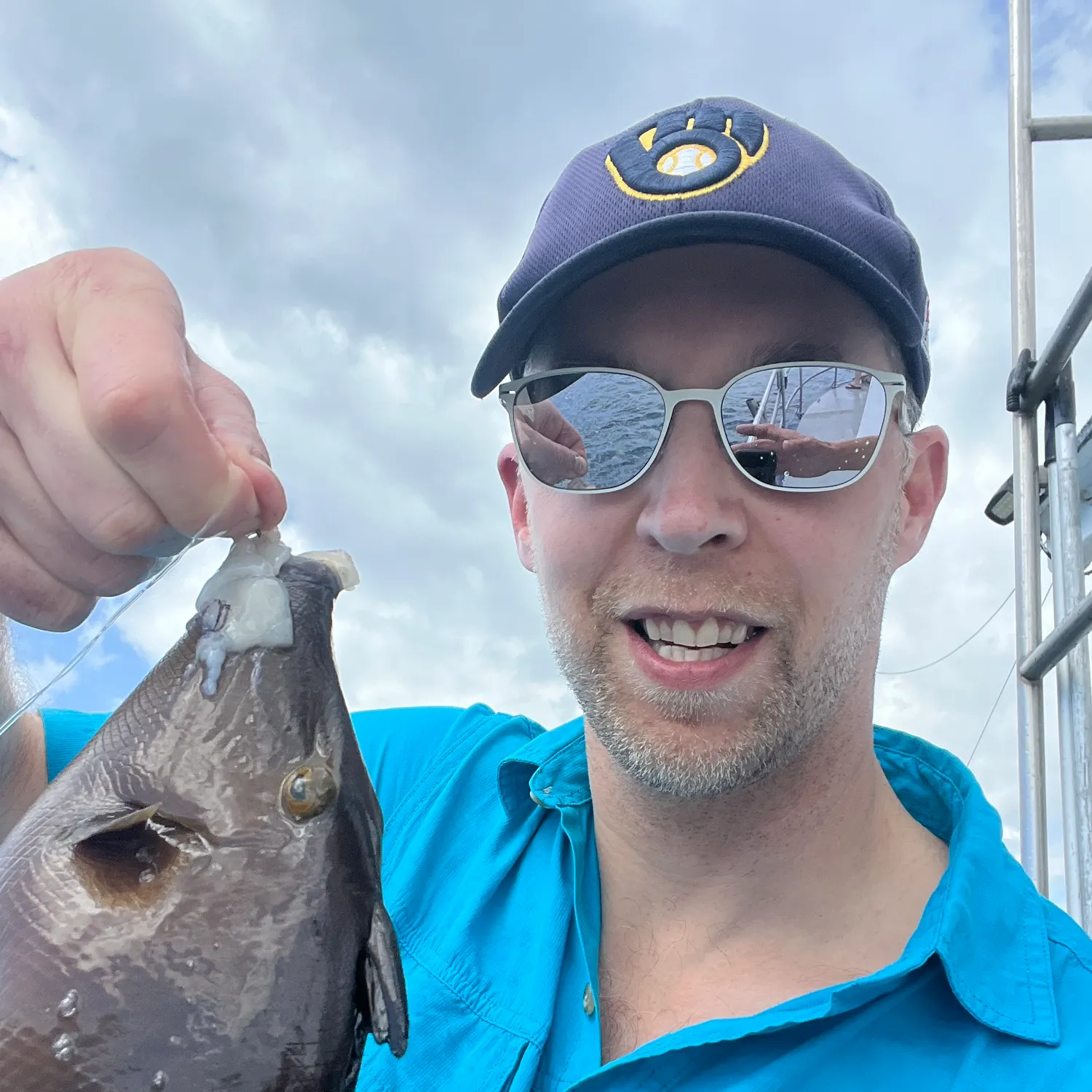 The most recent Grey triggerfish catches on Fishbrain