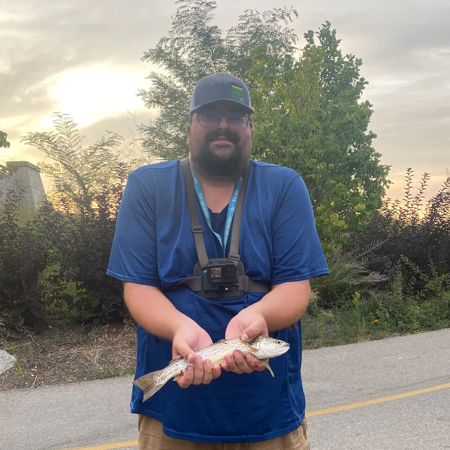 Tiger trout caught on Fishbrain