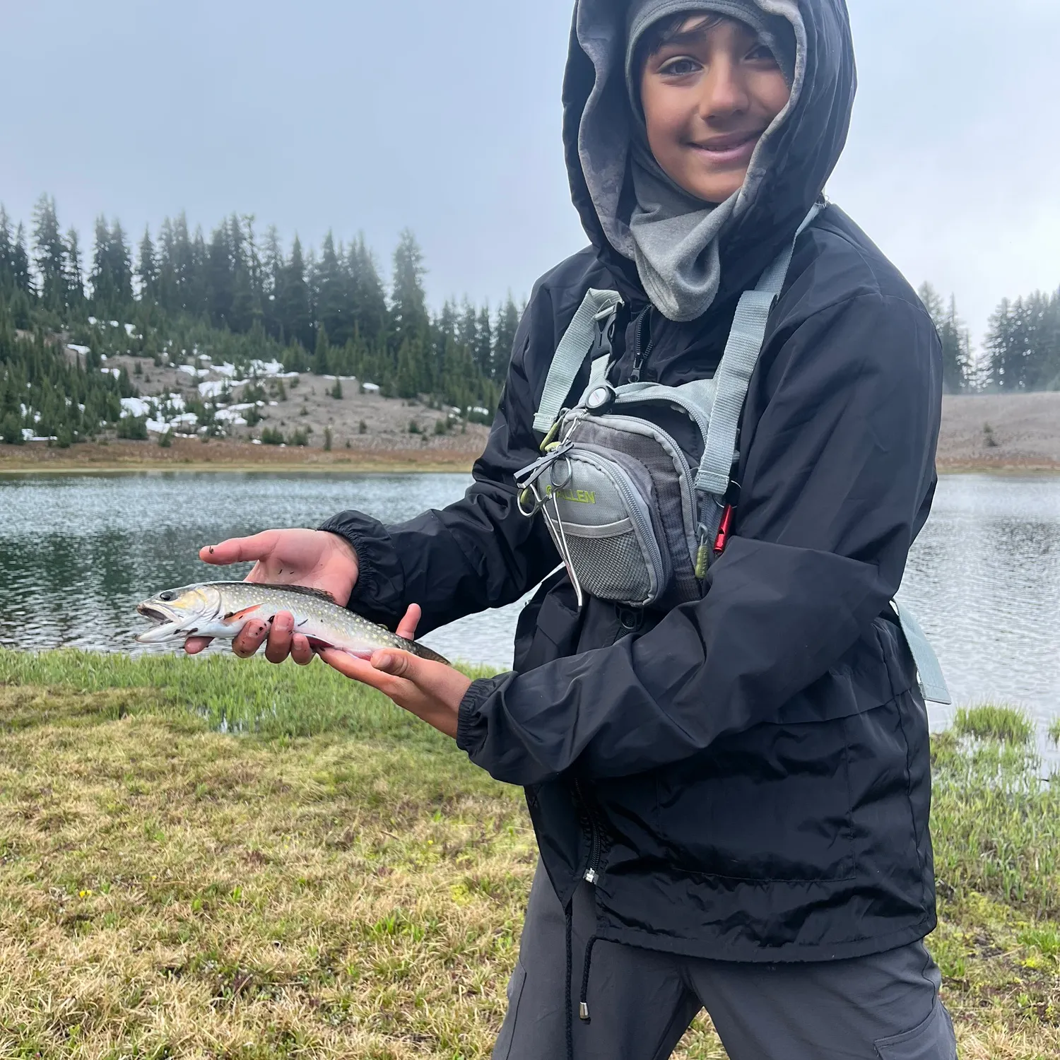 Brook trout caught on Fishbrain