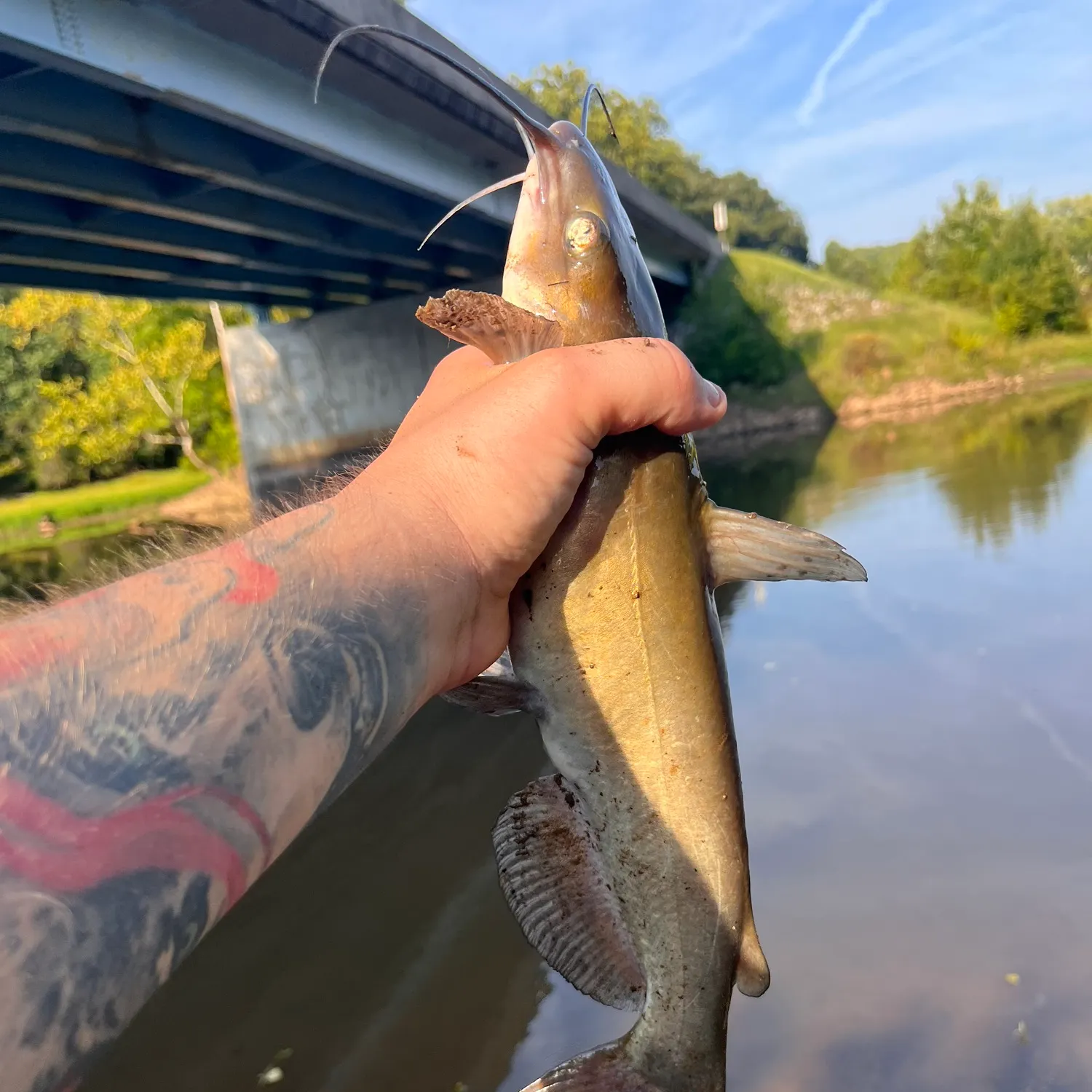 catch